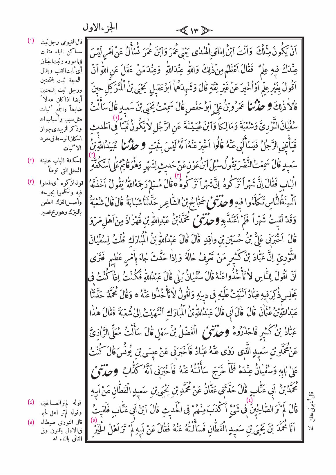 صفحة 13