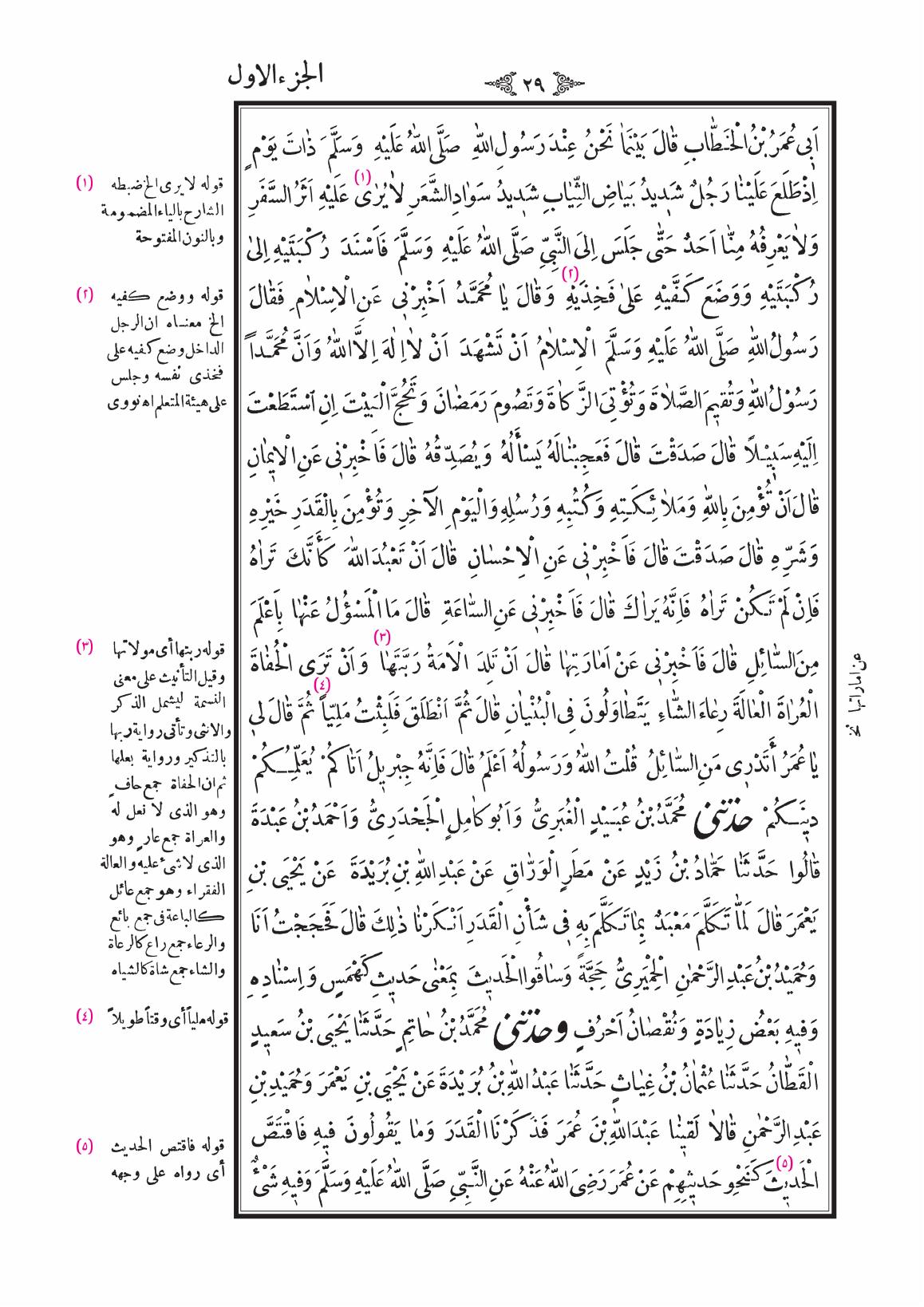 صفحة 29
