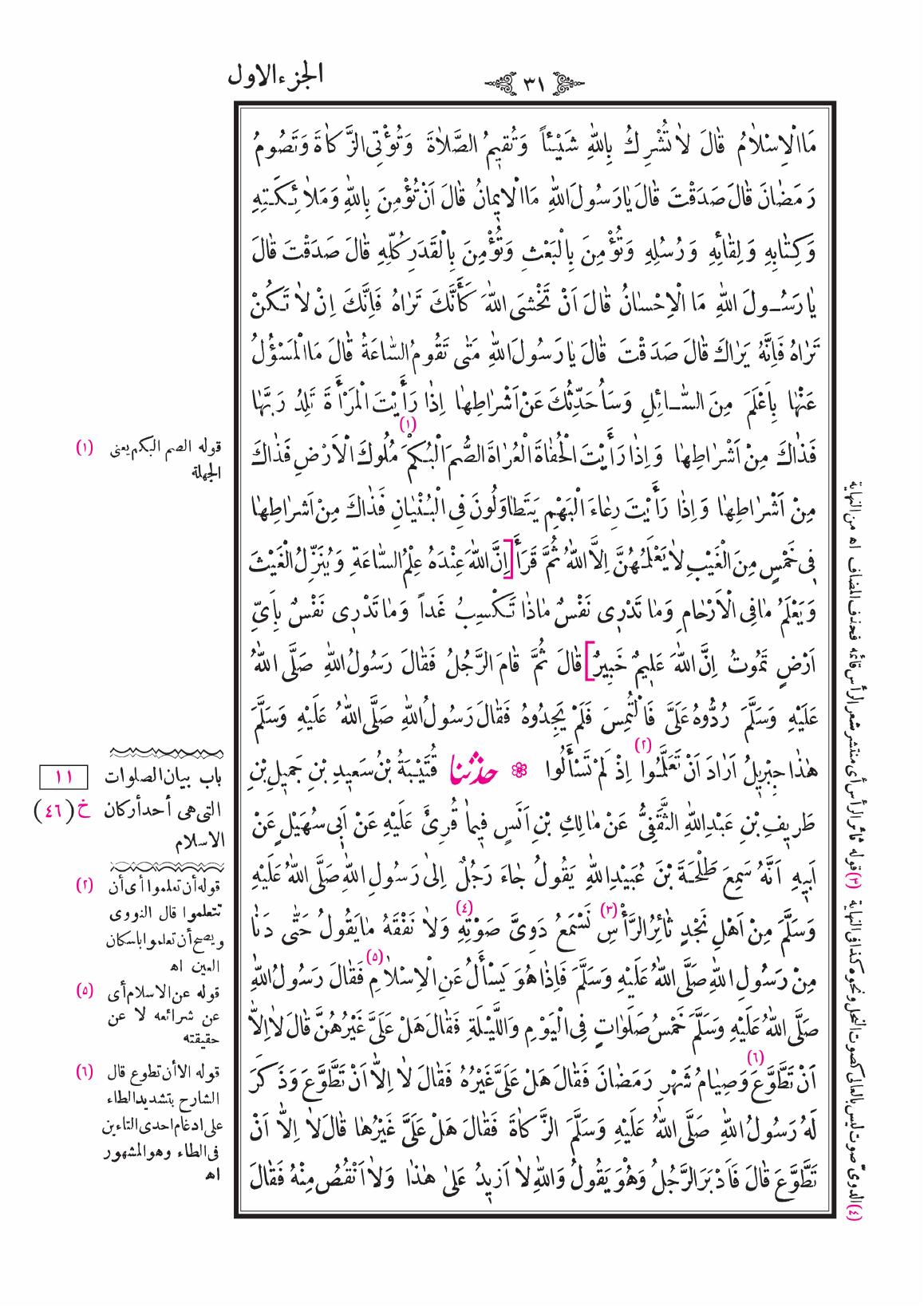 صفحة 31