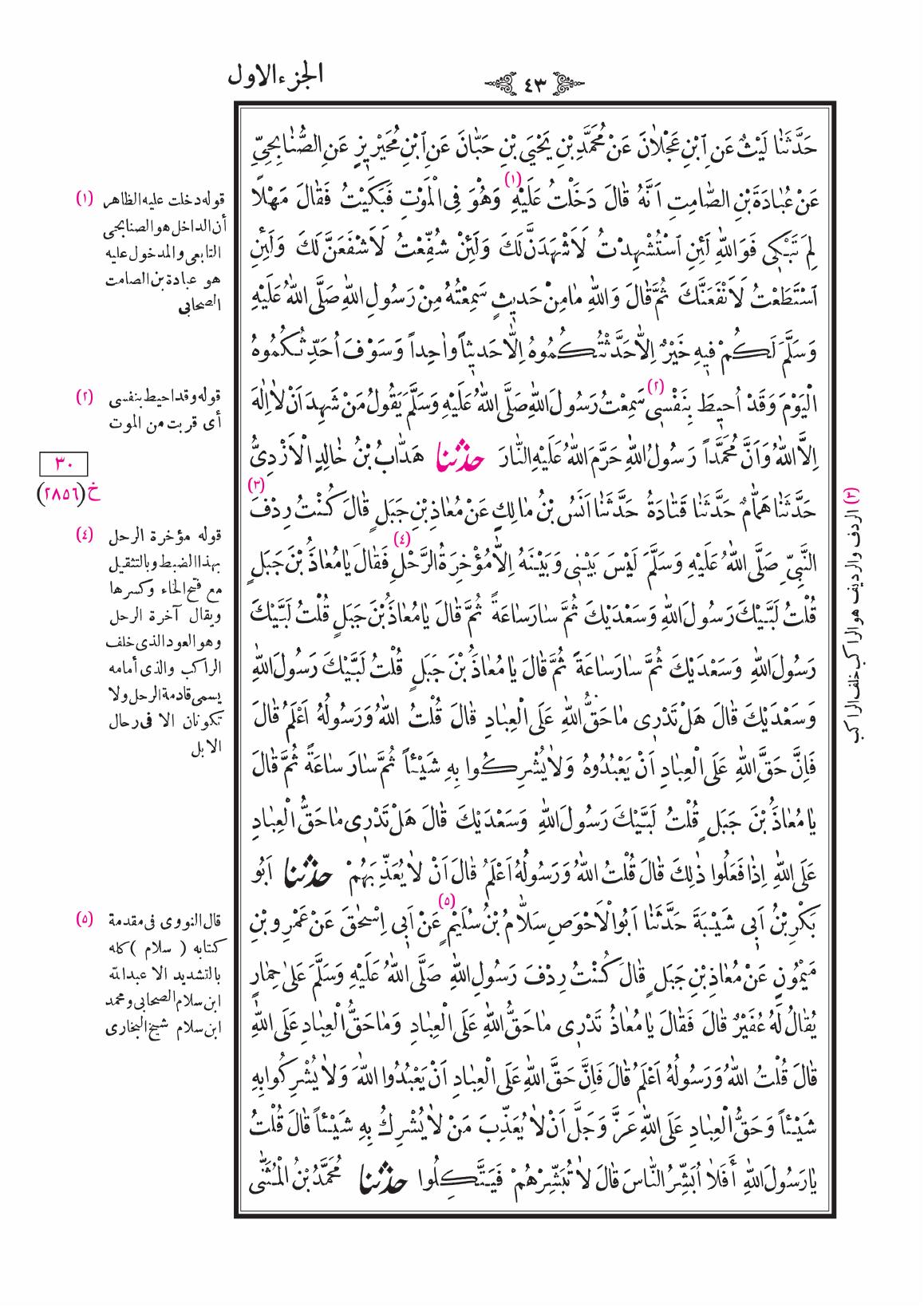 صفحة 43