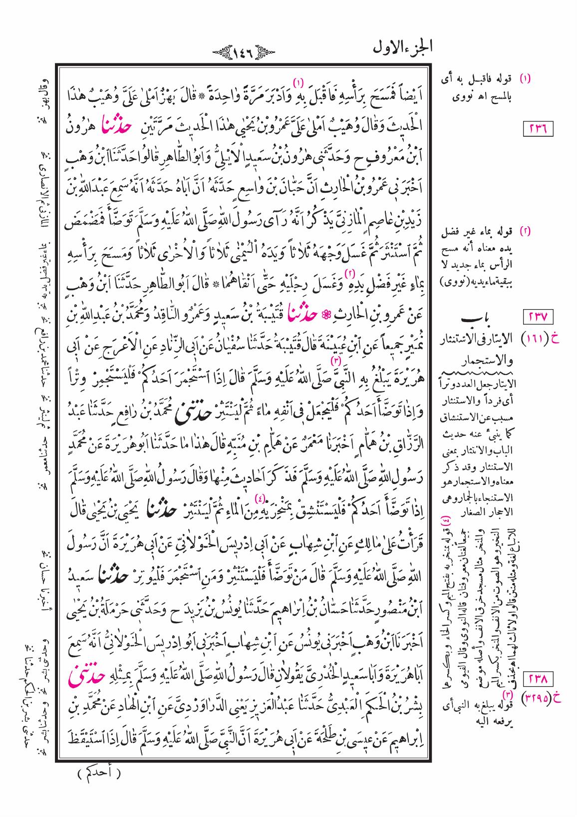 صفحة 146