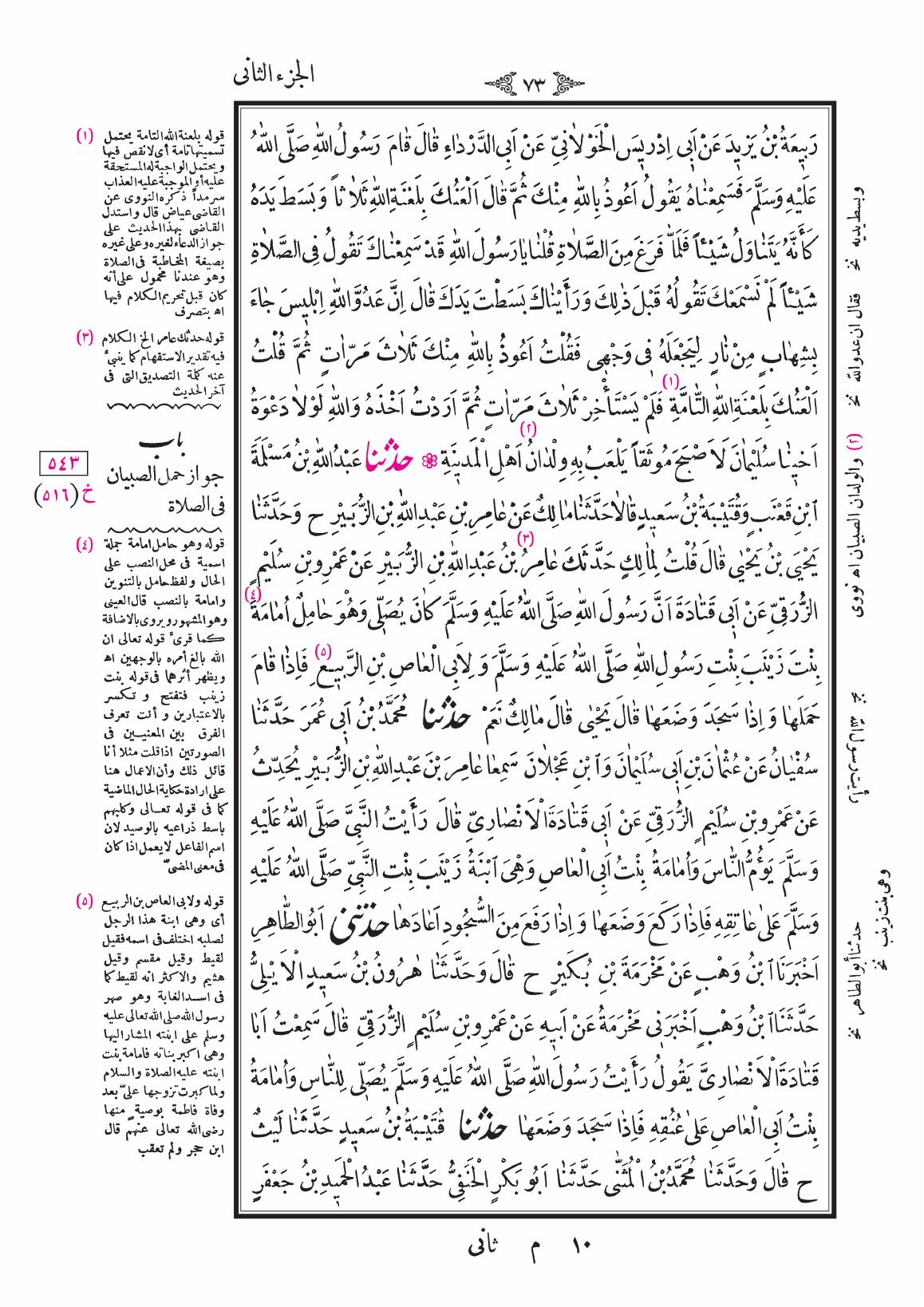 صفحة 73
