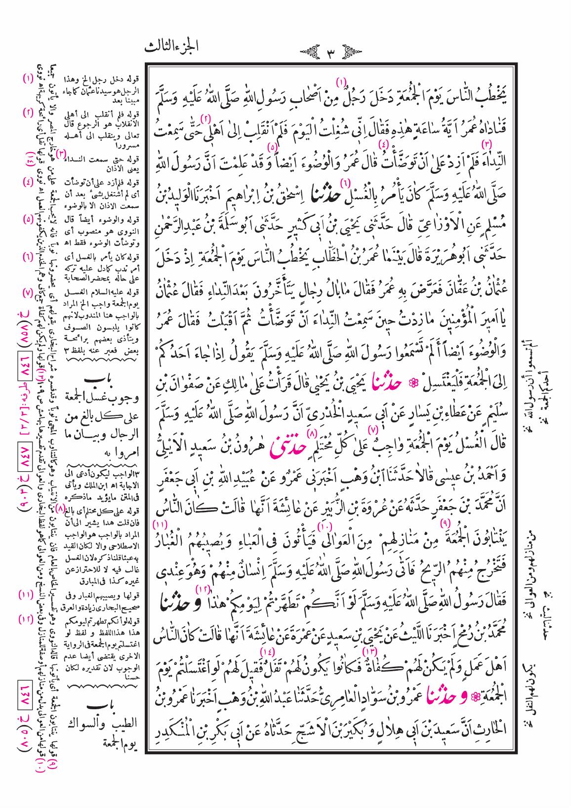 صفحة 3