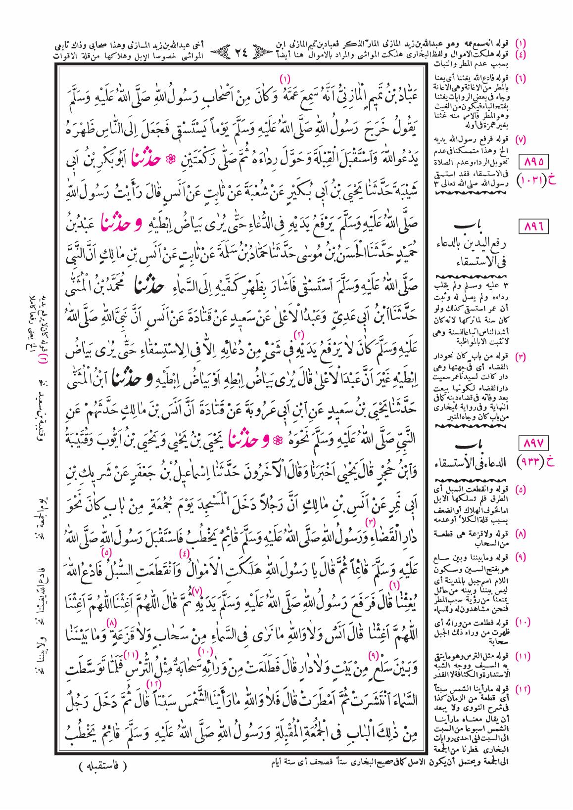 صفحة 24