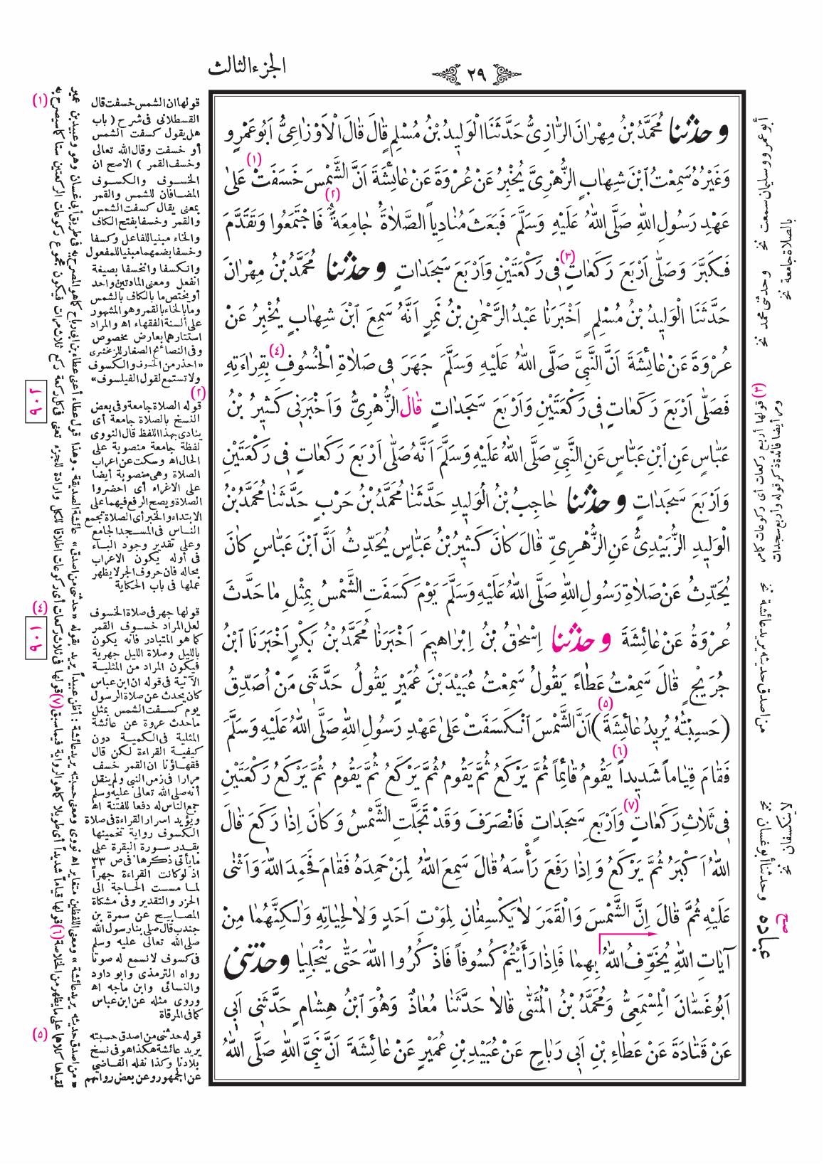 صفحة 29