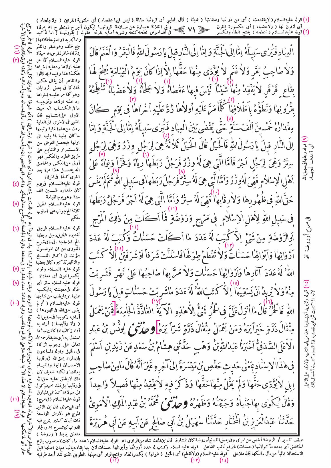 صفحة 71