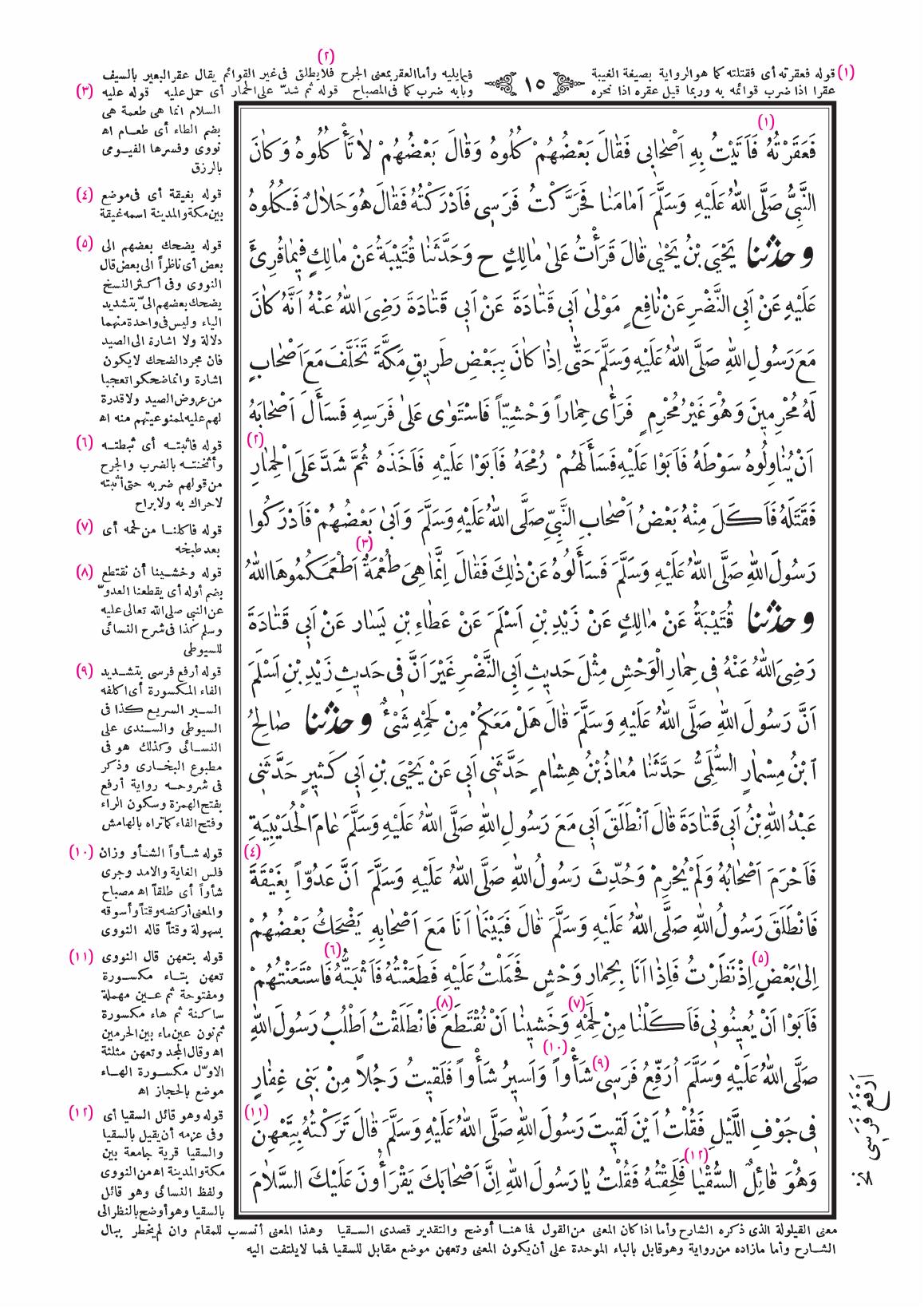 صفحة 15
