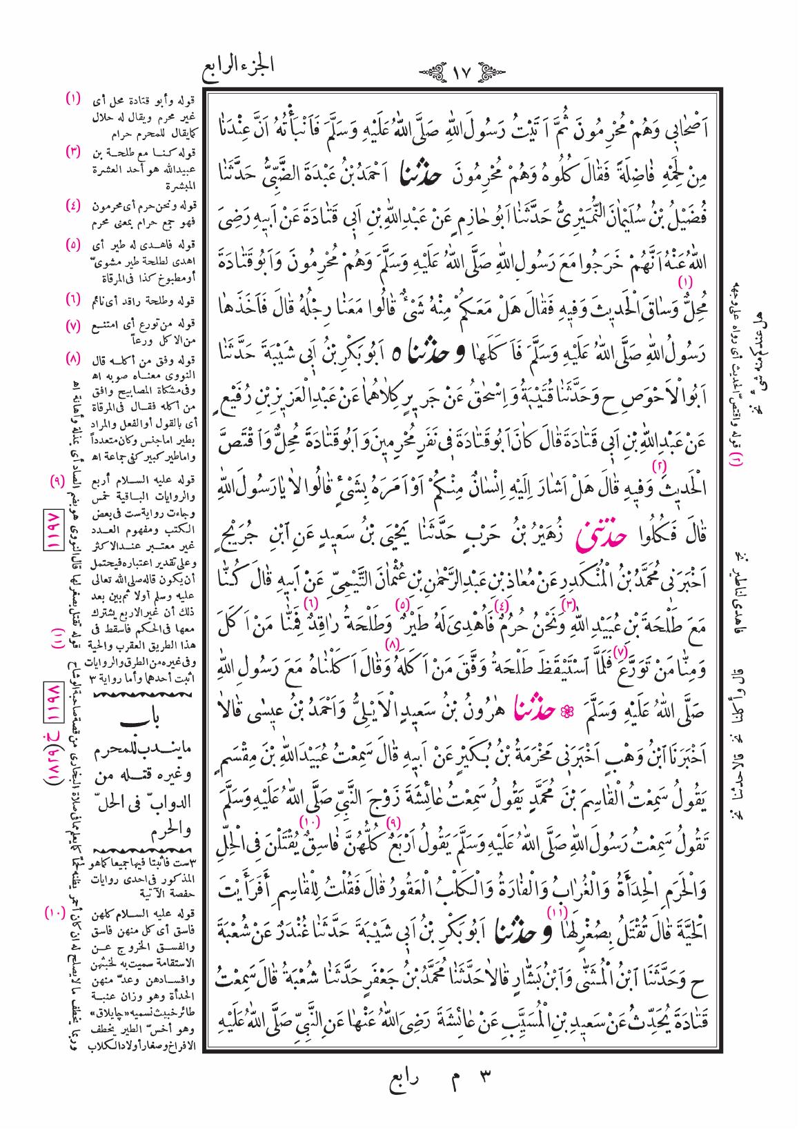صفحة 17