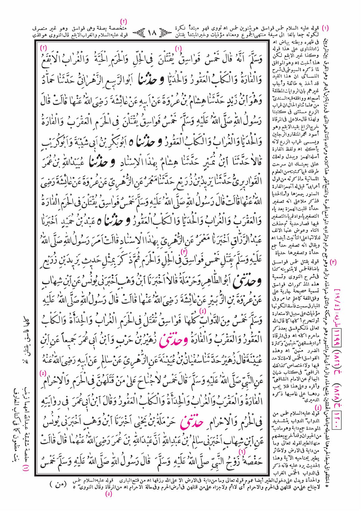صفحة 18