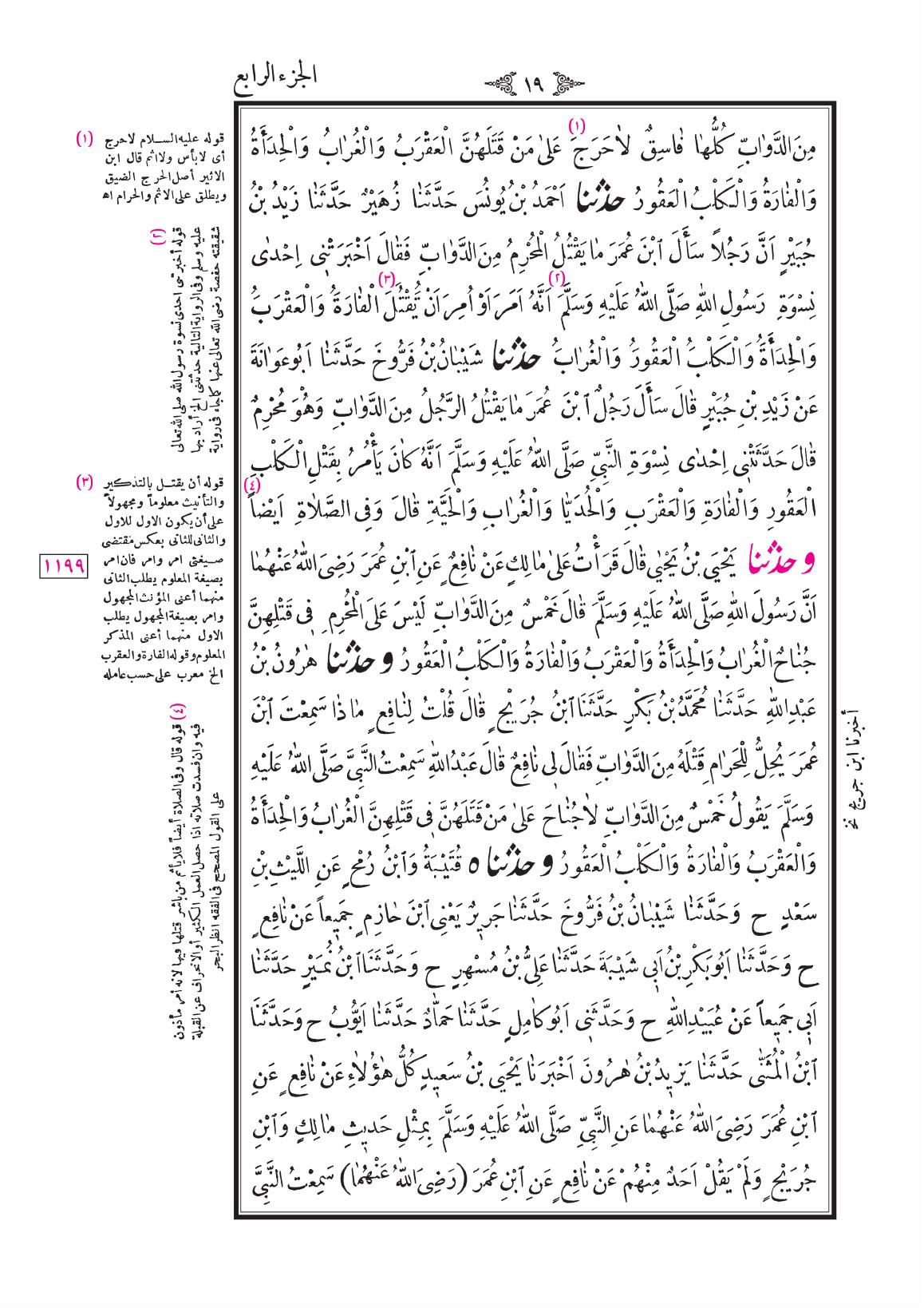 صفحة 19