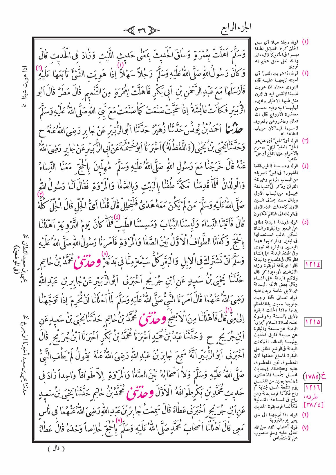 صفحة 36