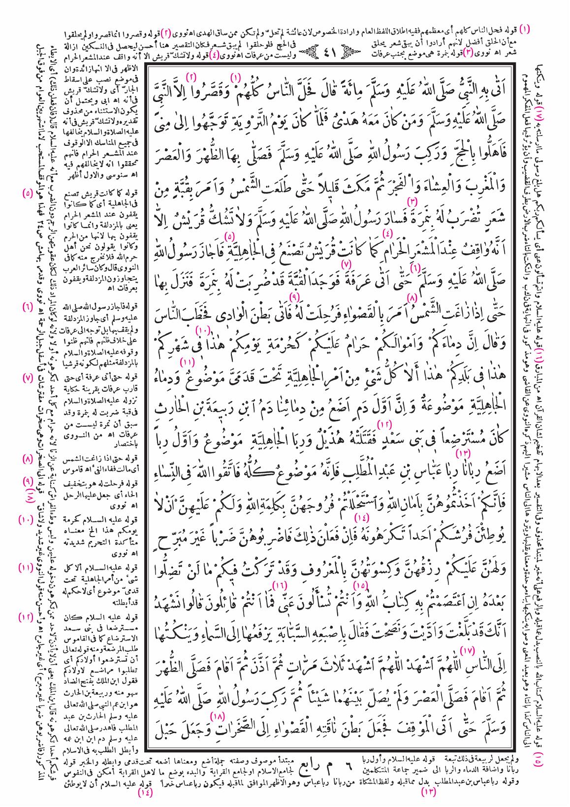 صفحة 41