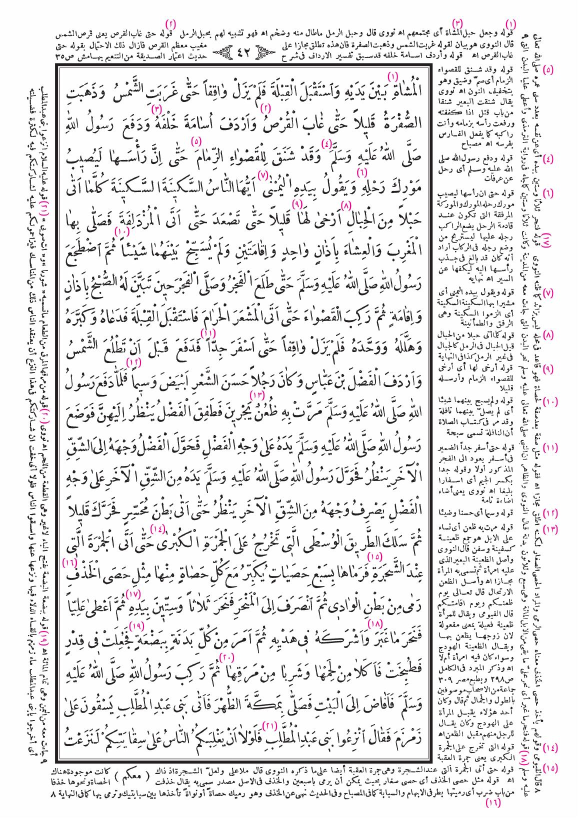صفحة 42