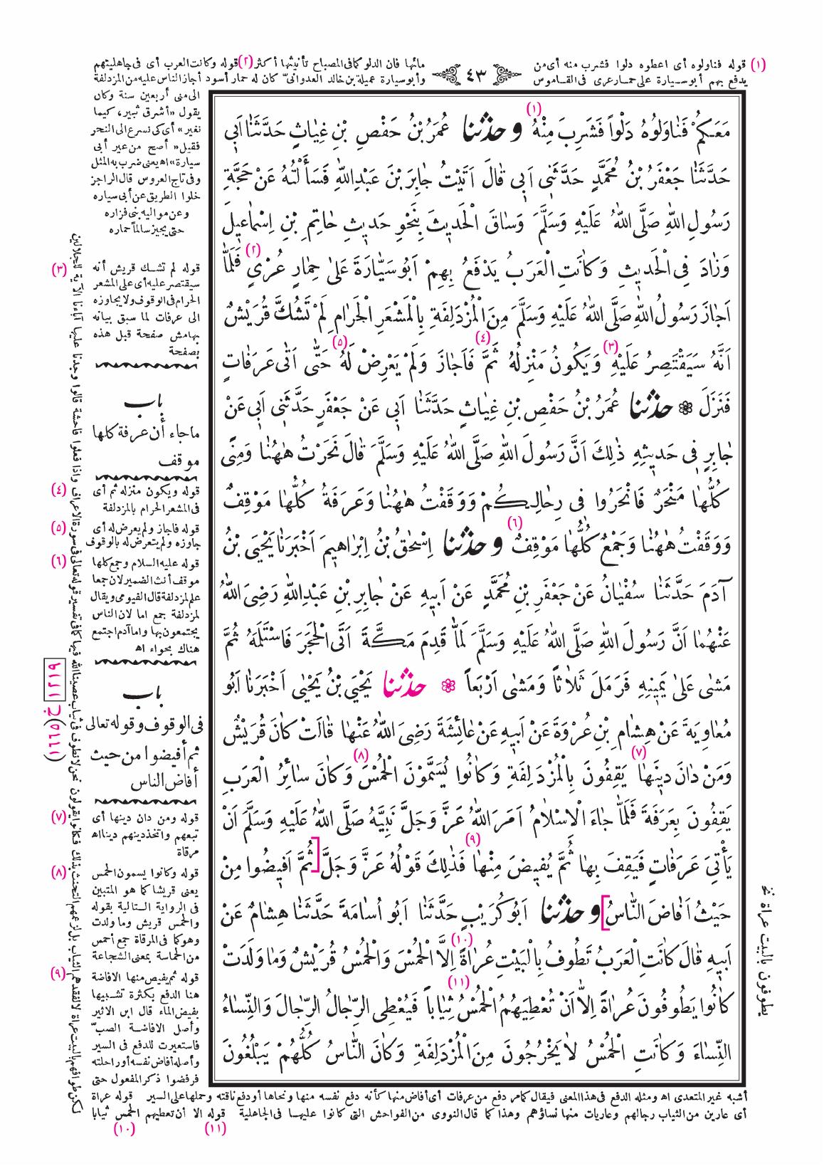 صفحة 43