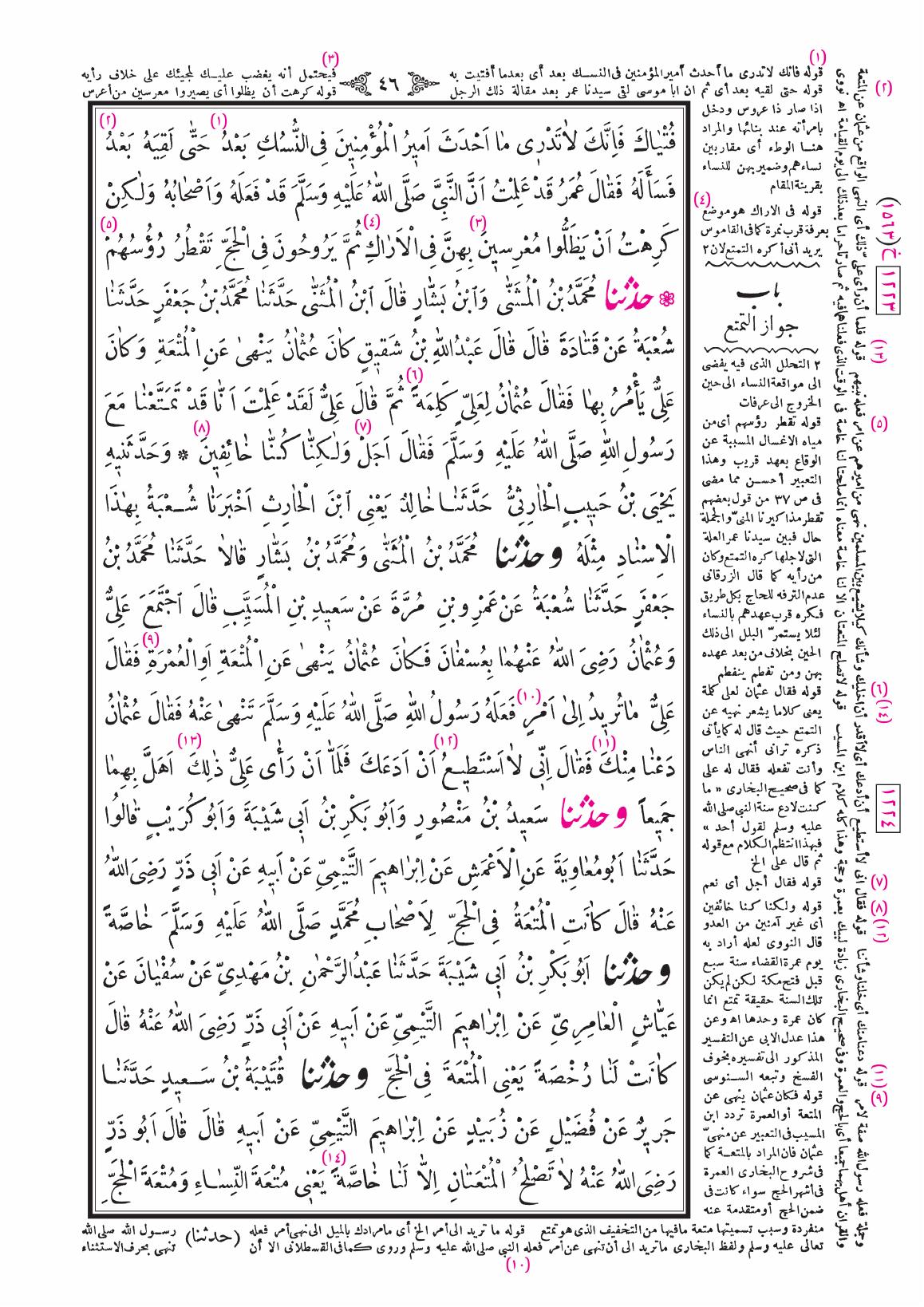 صفحة 46