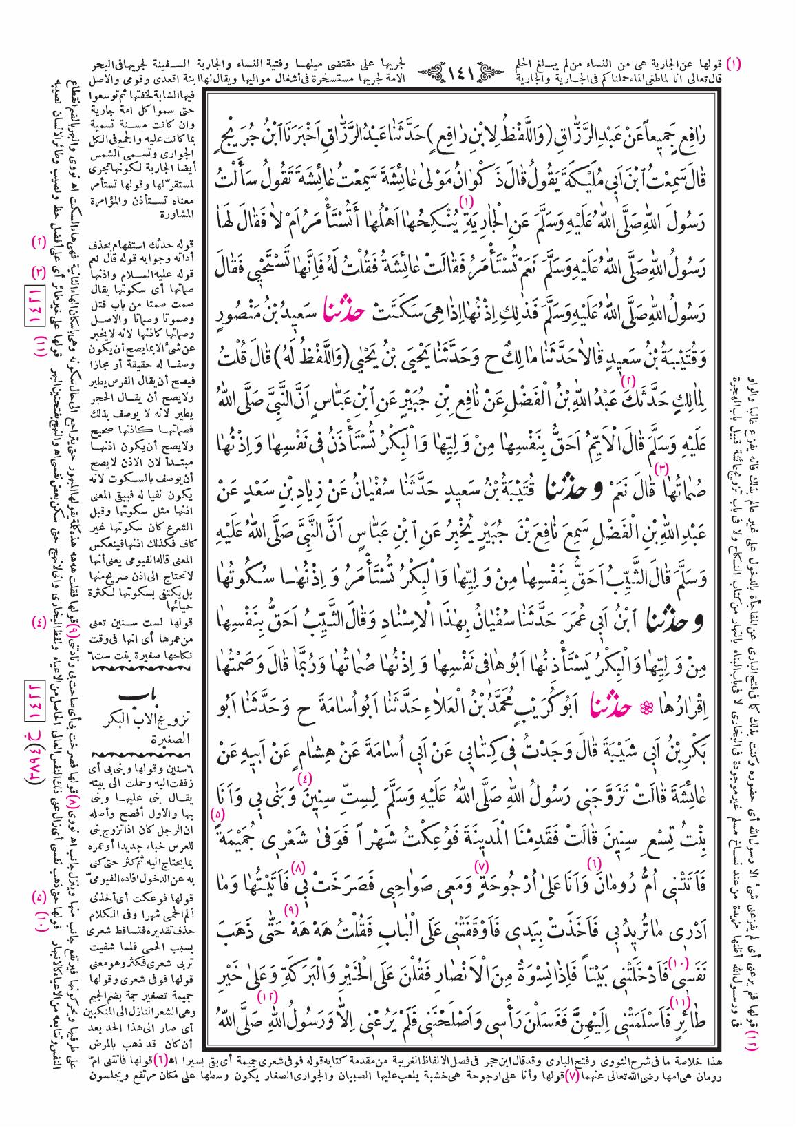 صفحة 141