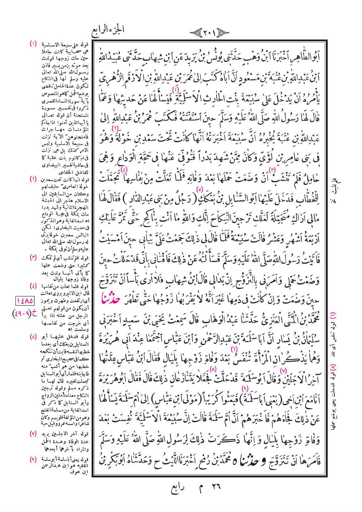 صفحة 201