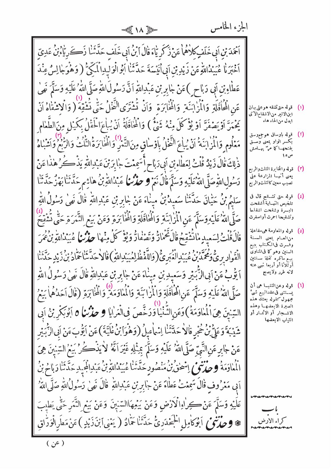صفحة 18