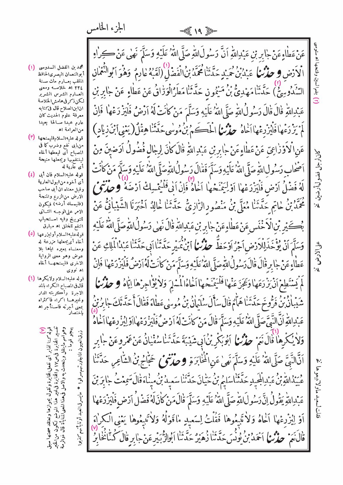 صفحة 19