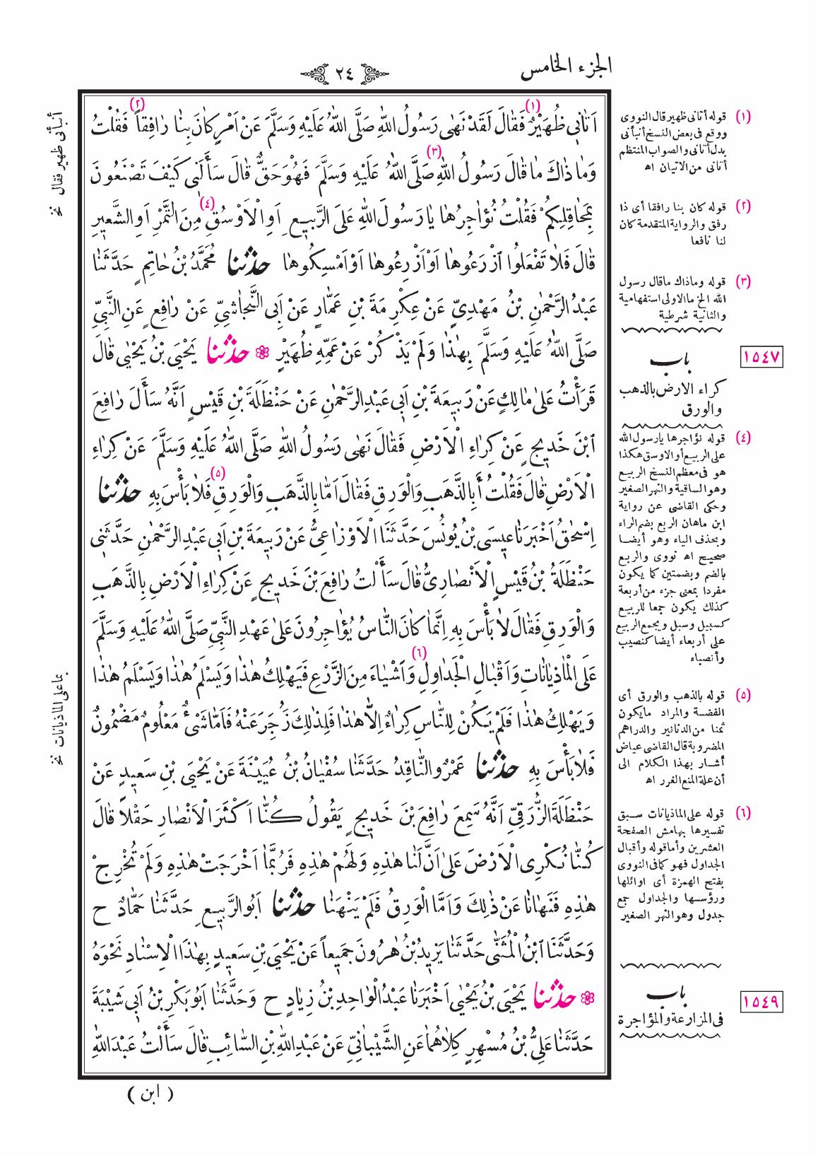 صفحة 24