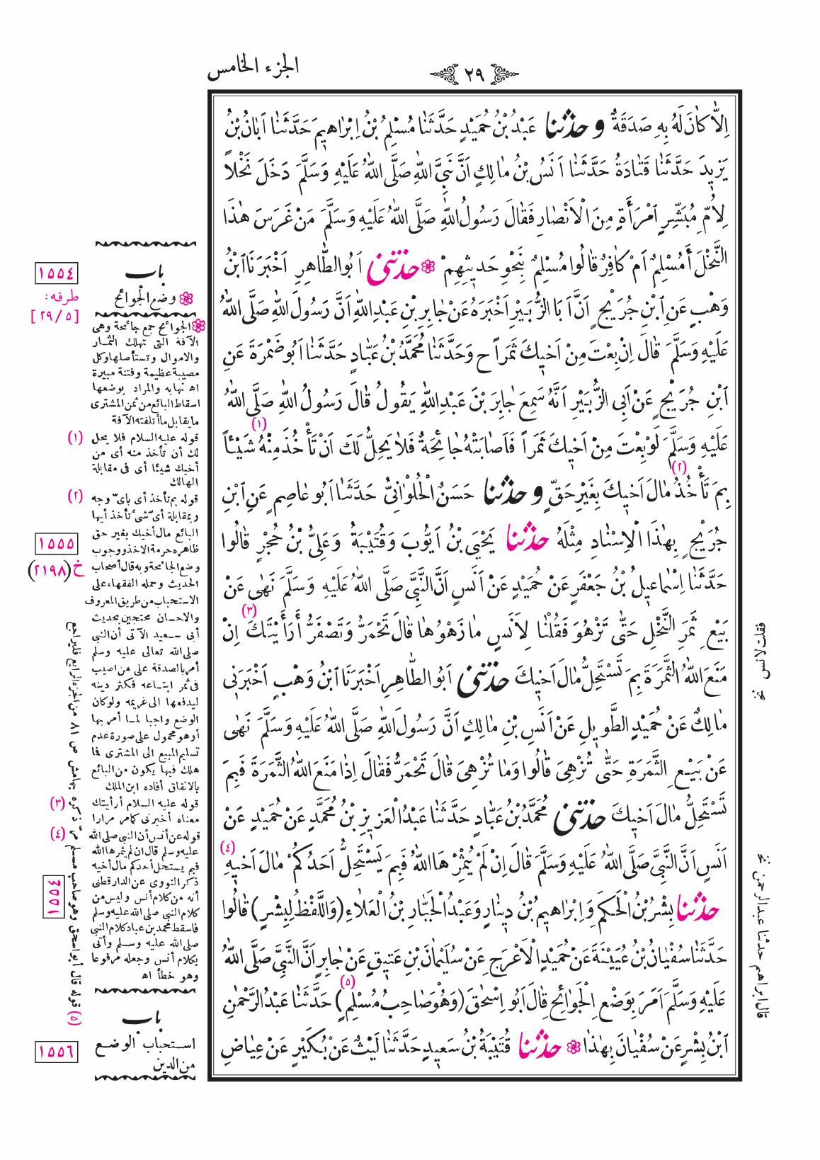 صفحة 29