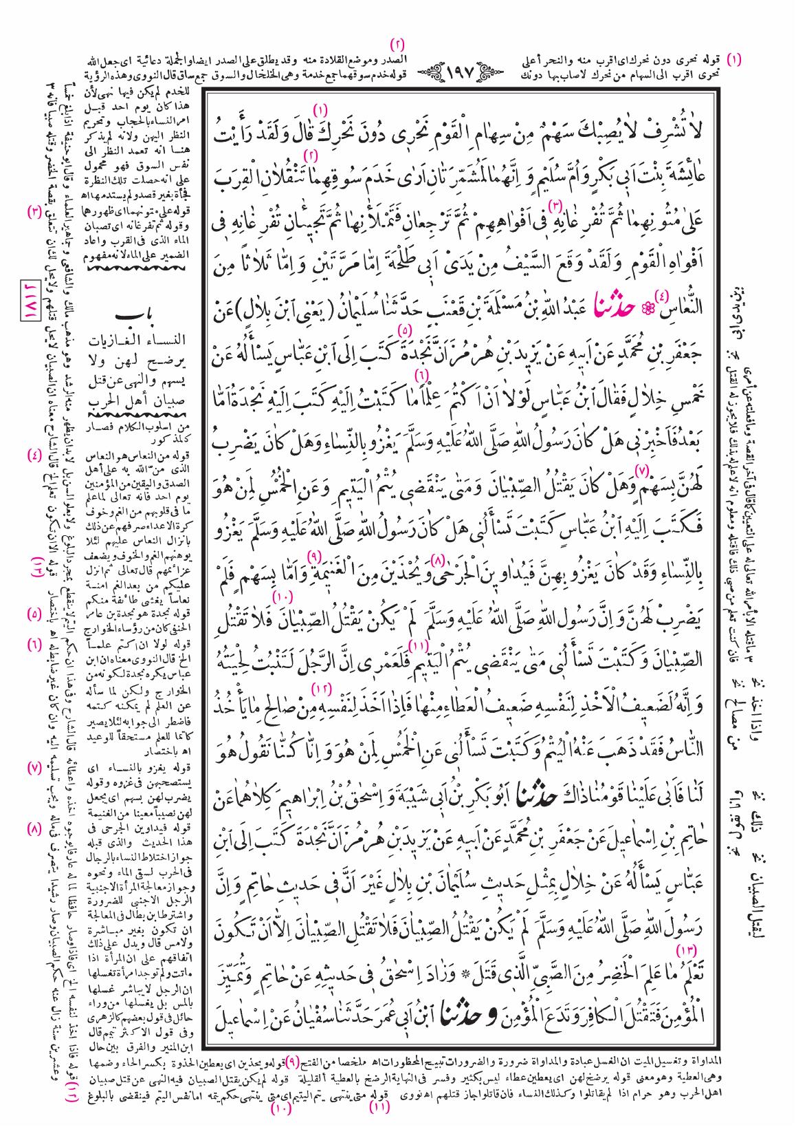 صفحة 197
