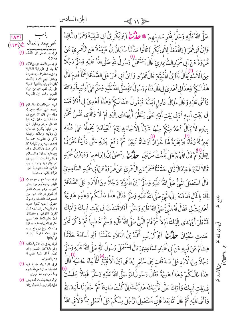 صفحة 11