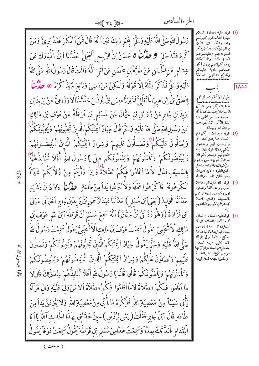 صفحة 24