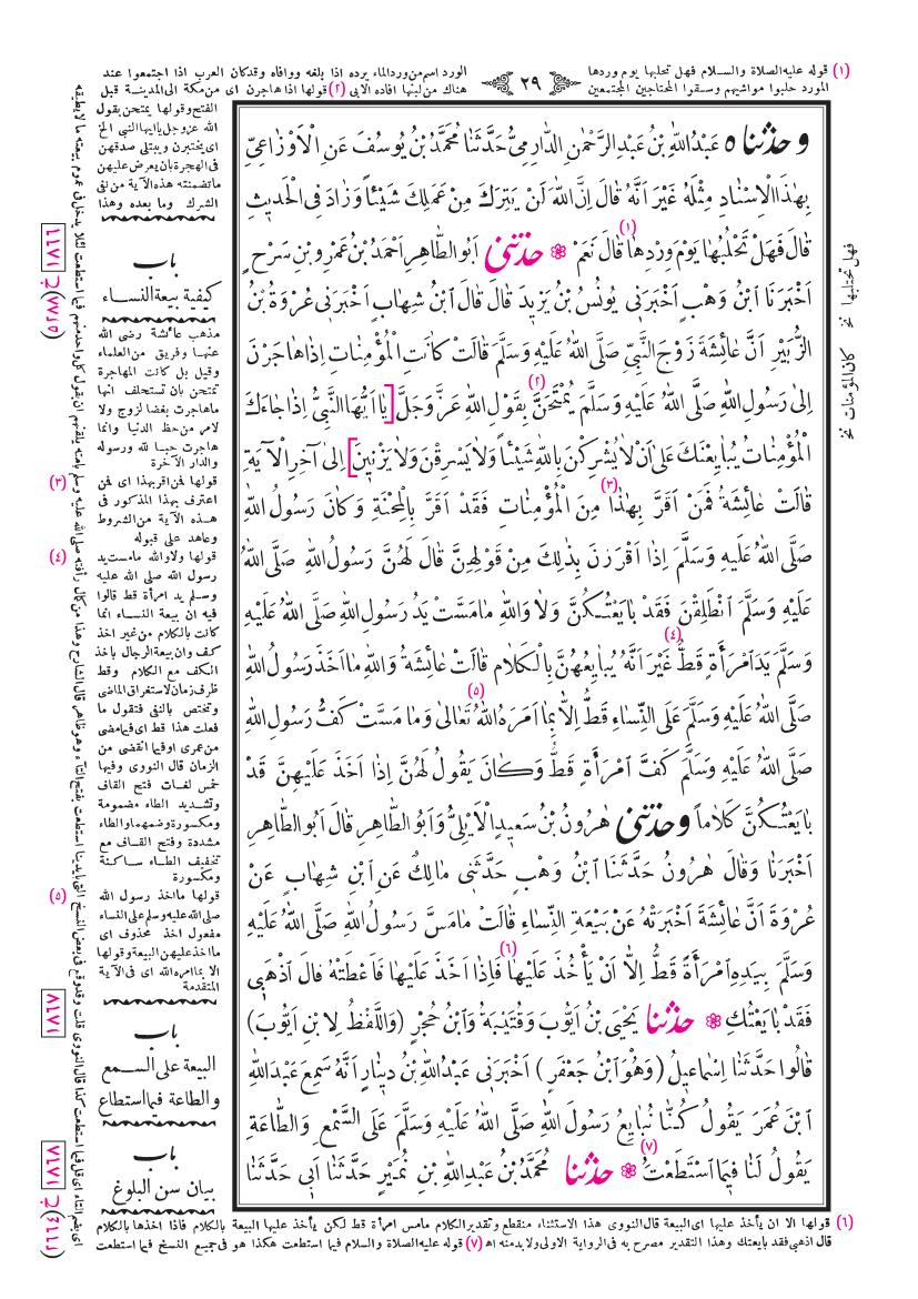 صفحة 29