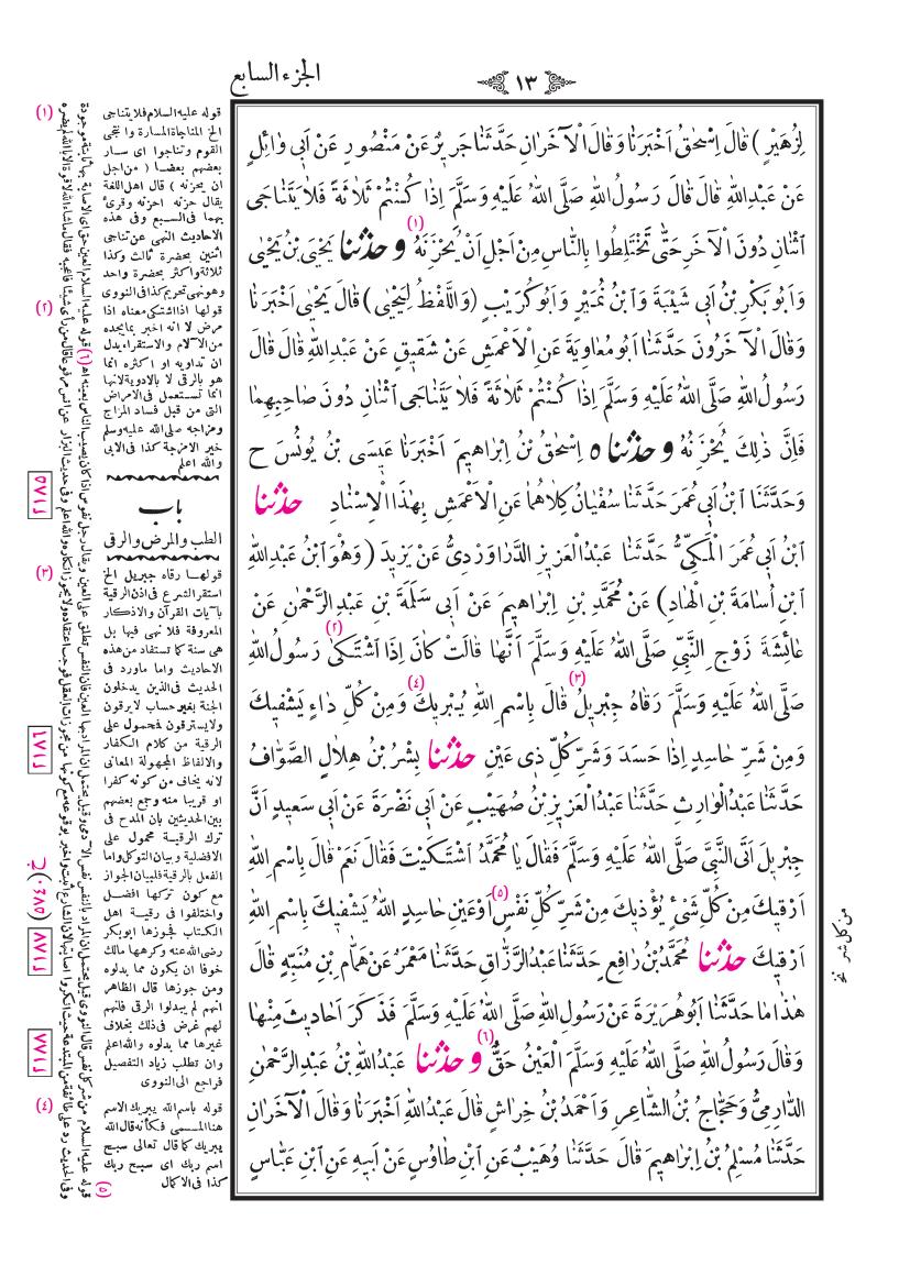 صفحة 13