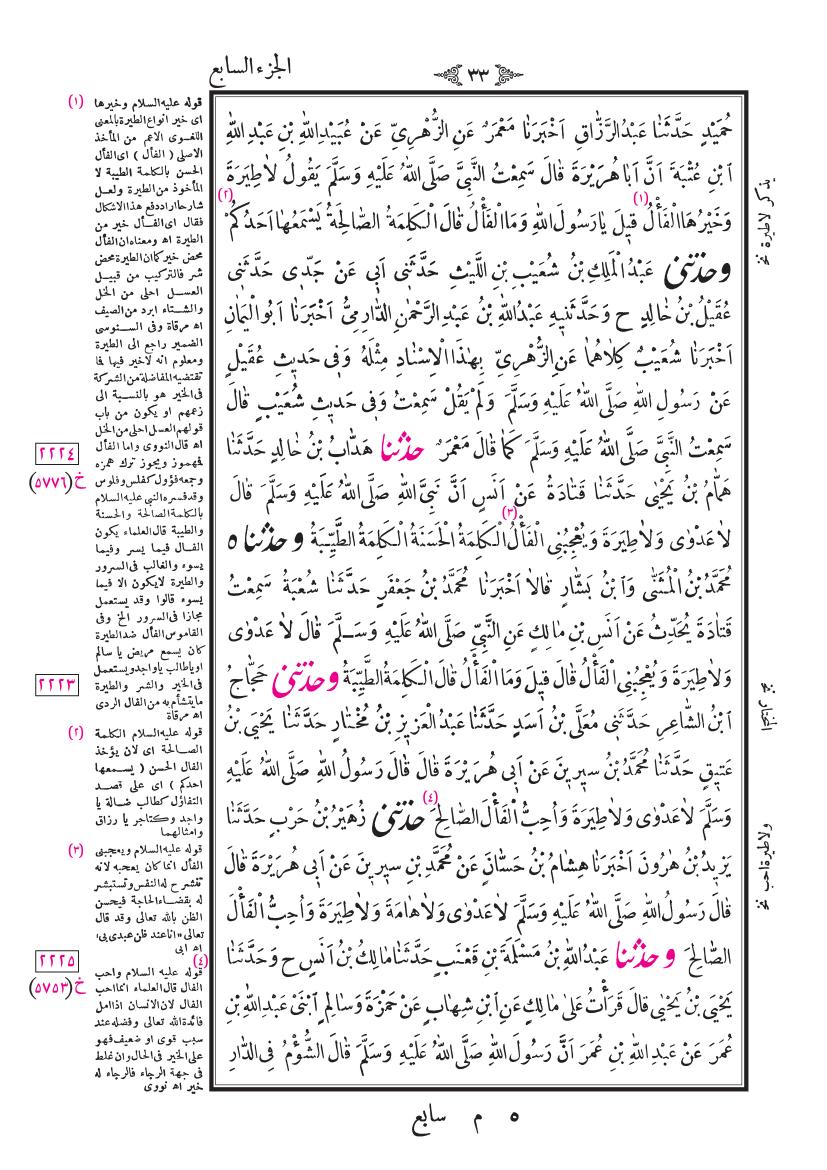 صفحة 33