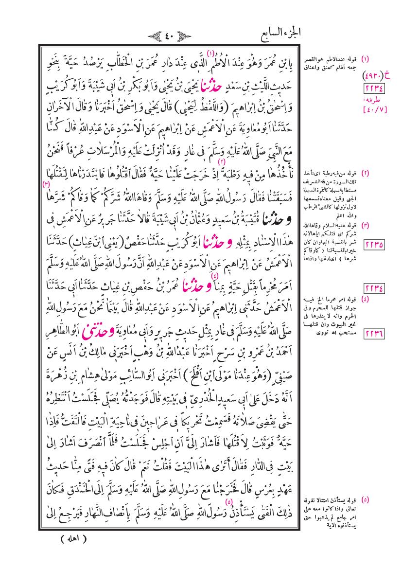 صفحة 40