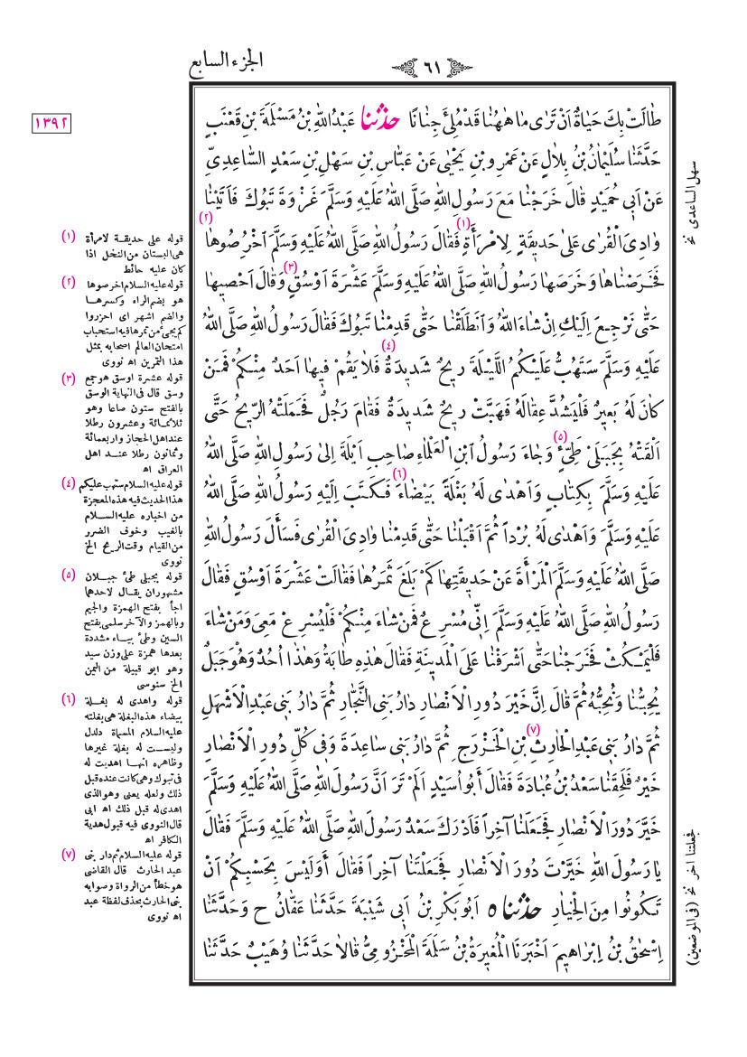 صفحة 61