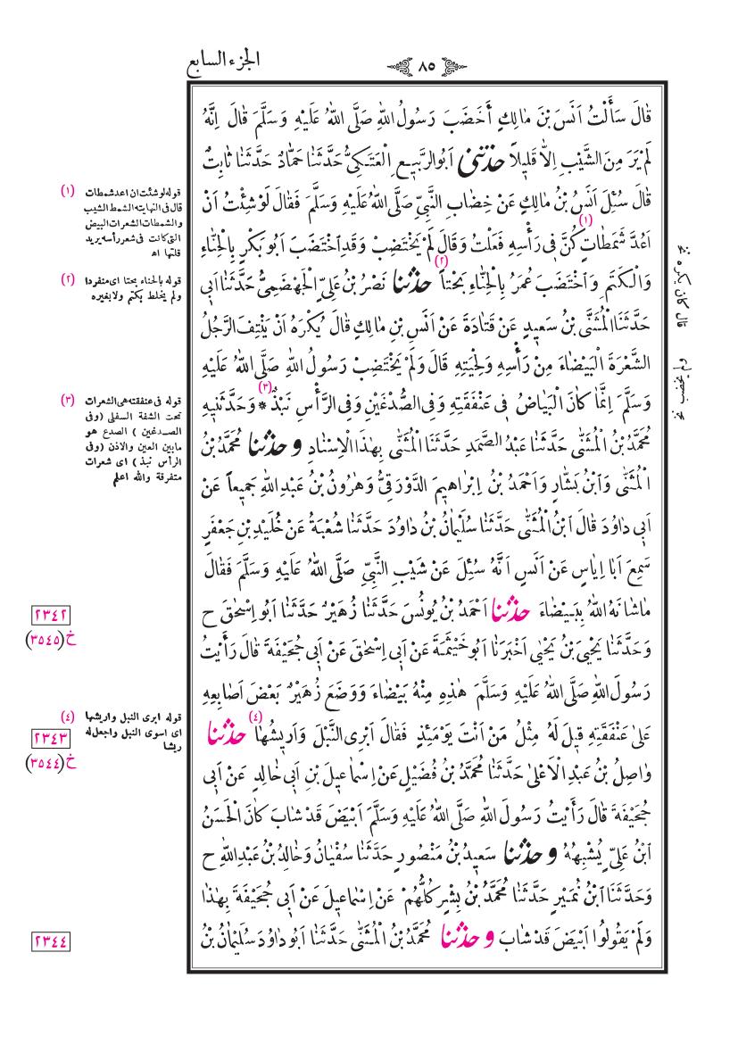 صفحة 85