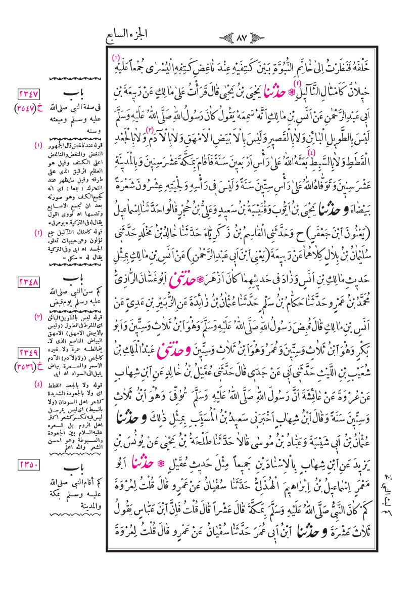 صفحة 87