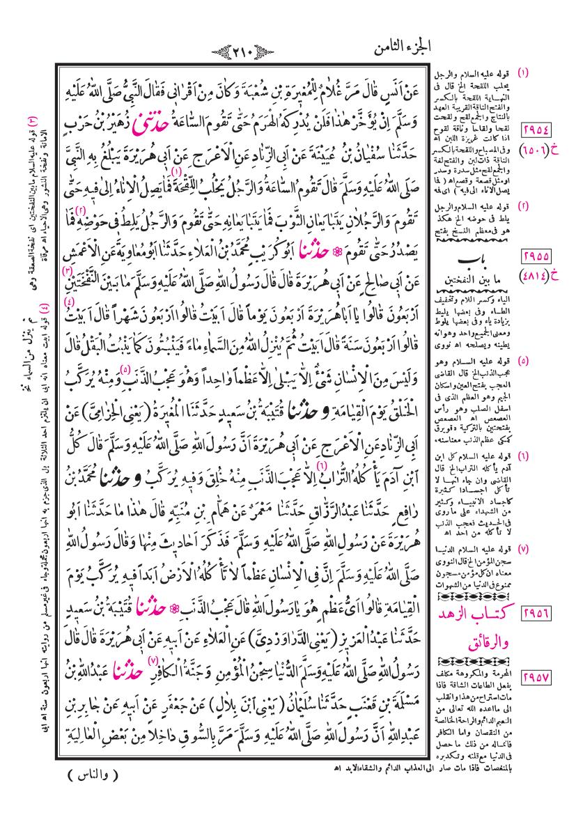 صفحة 210