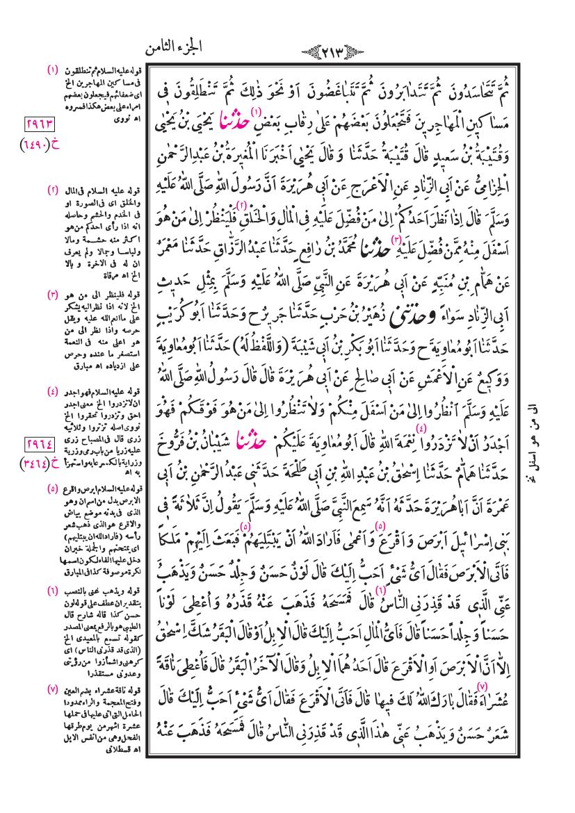 صفحة 213
