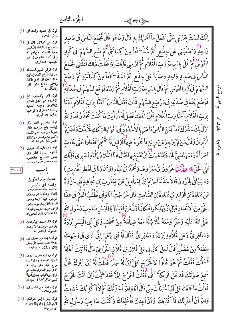 صفحة 231