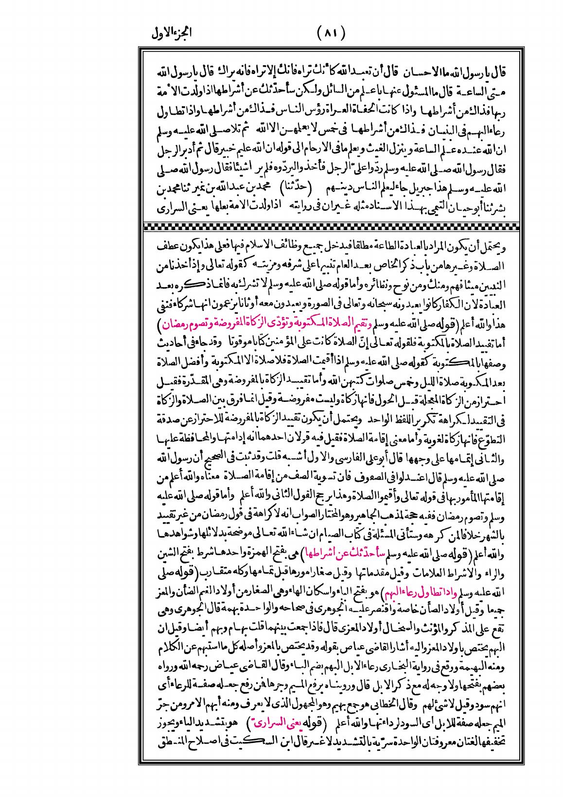 صفحة 81