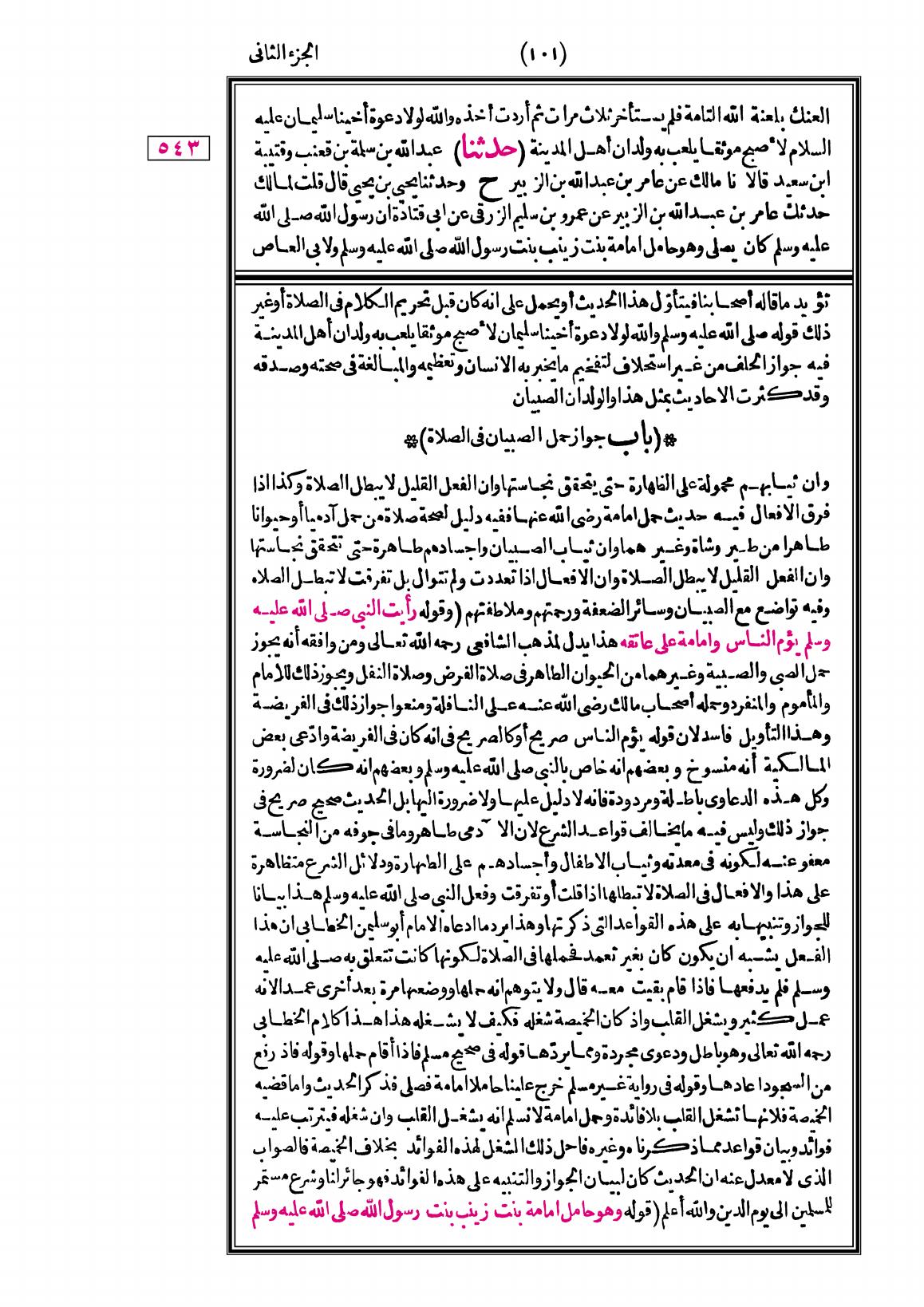 صفحة 101