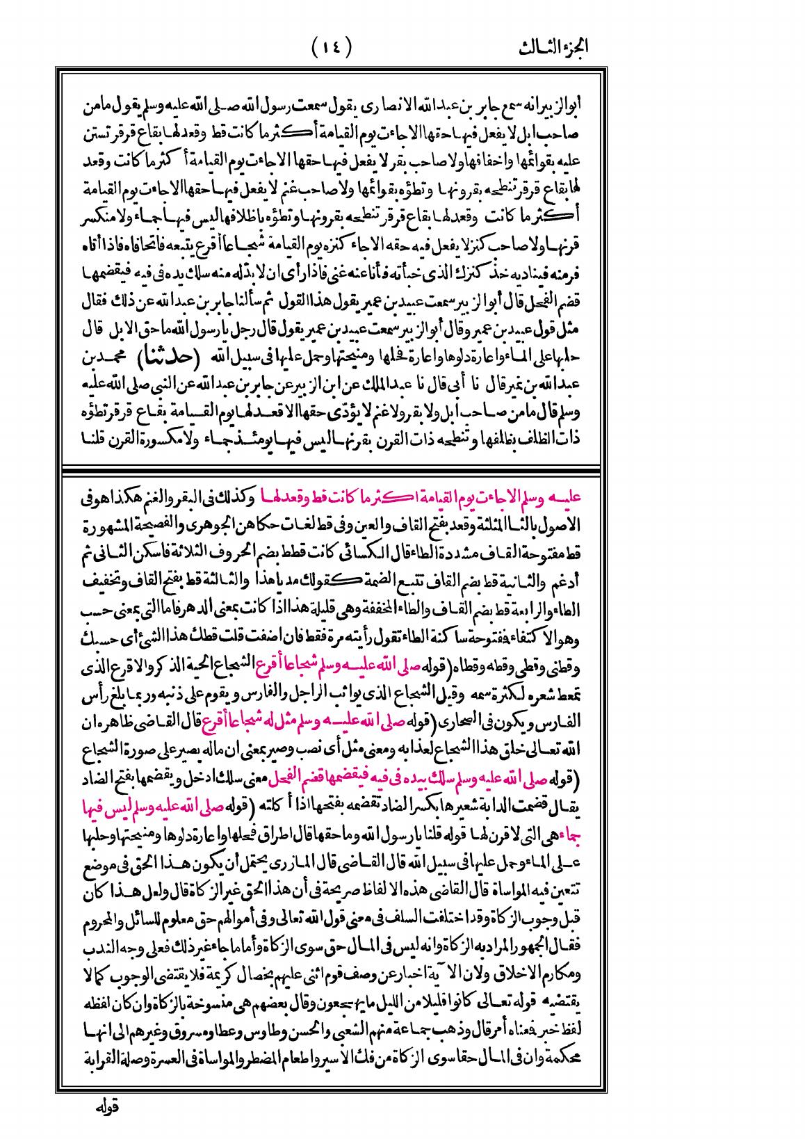 صفحة 14