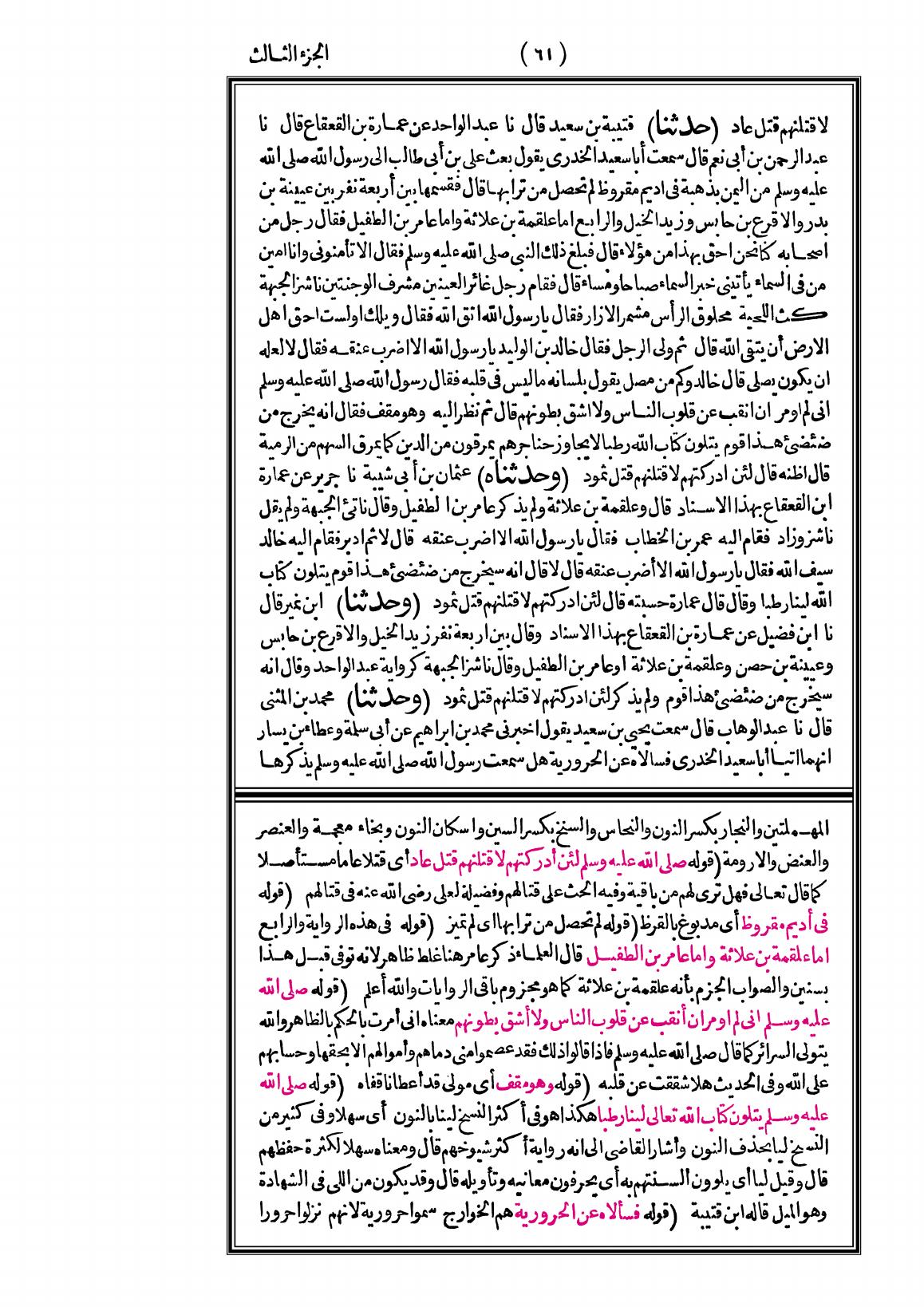 صفحة 61