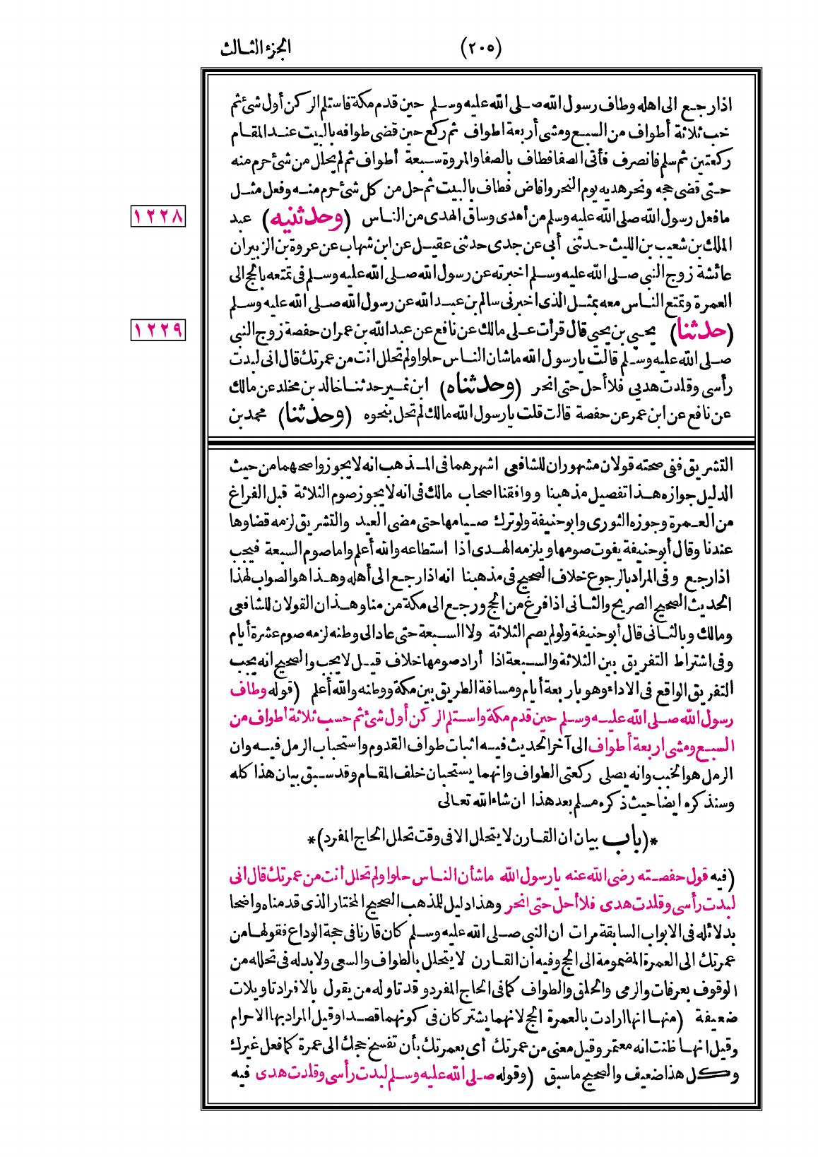 صفحة 205