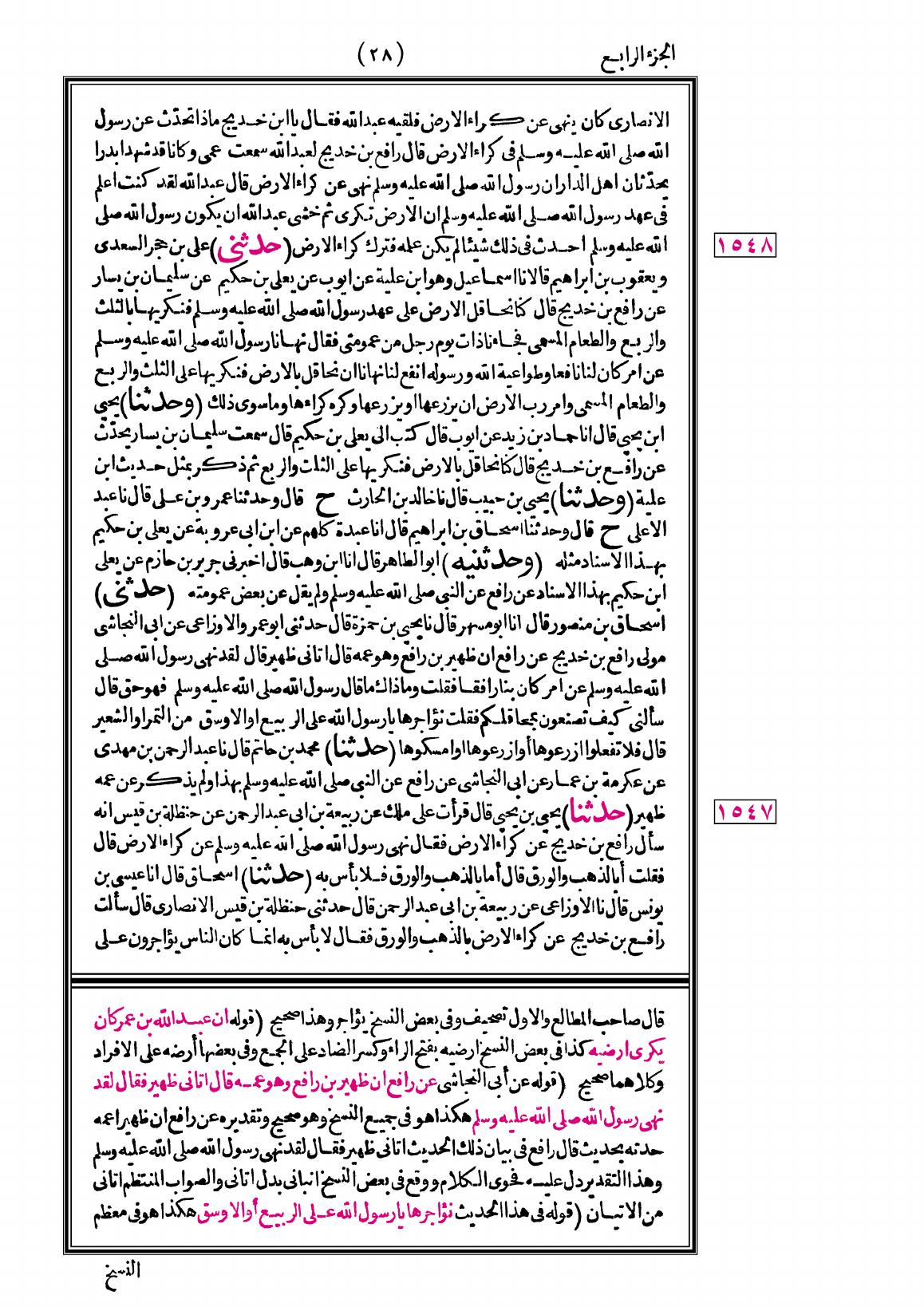صفحة 28