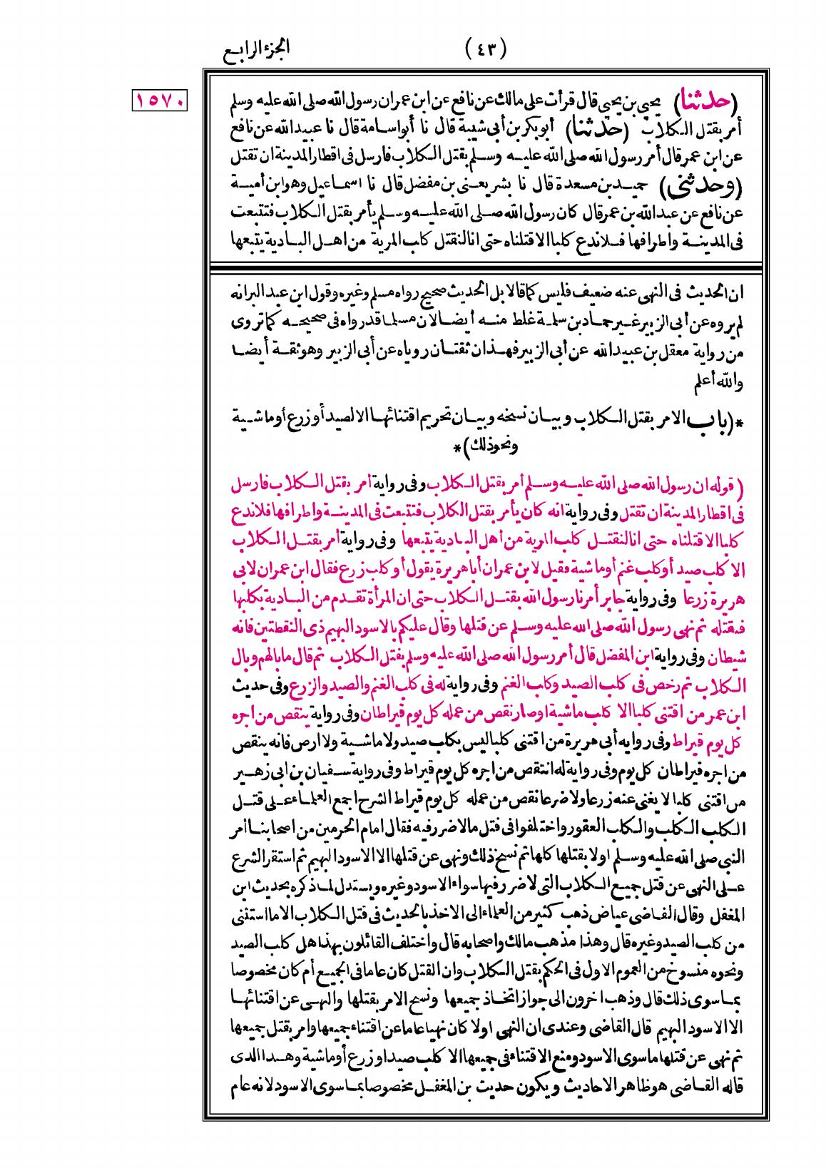 صفحة 43
