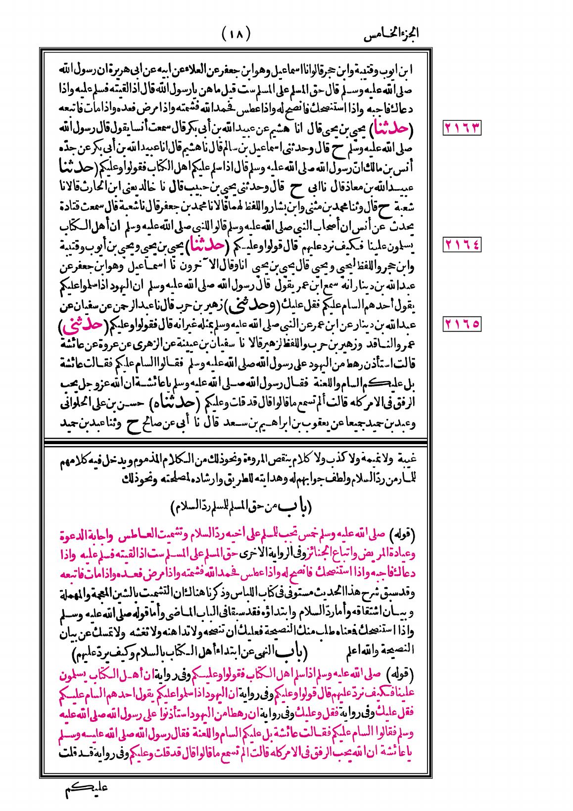 صفحة 18