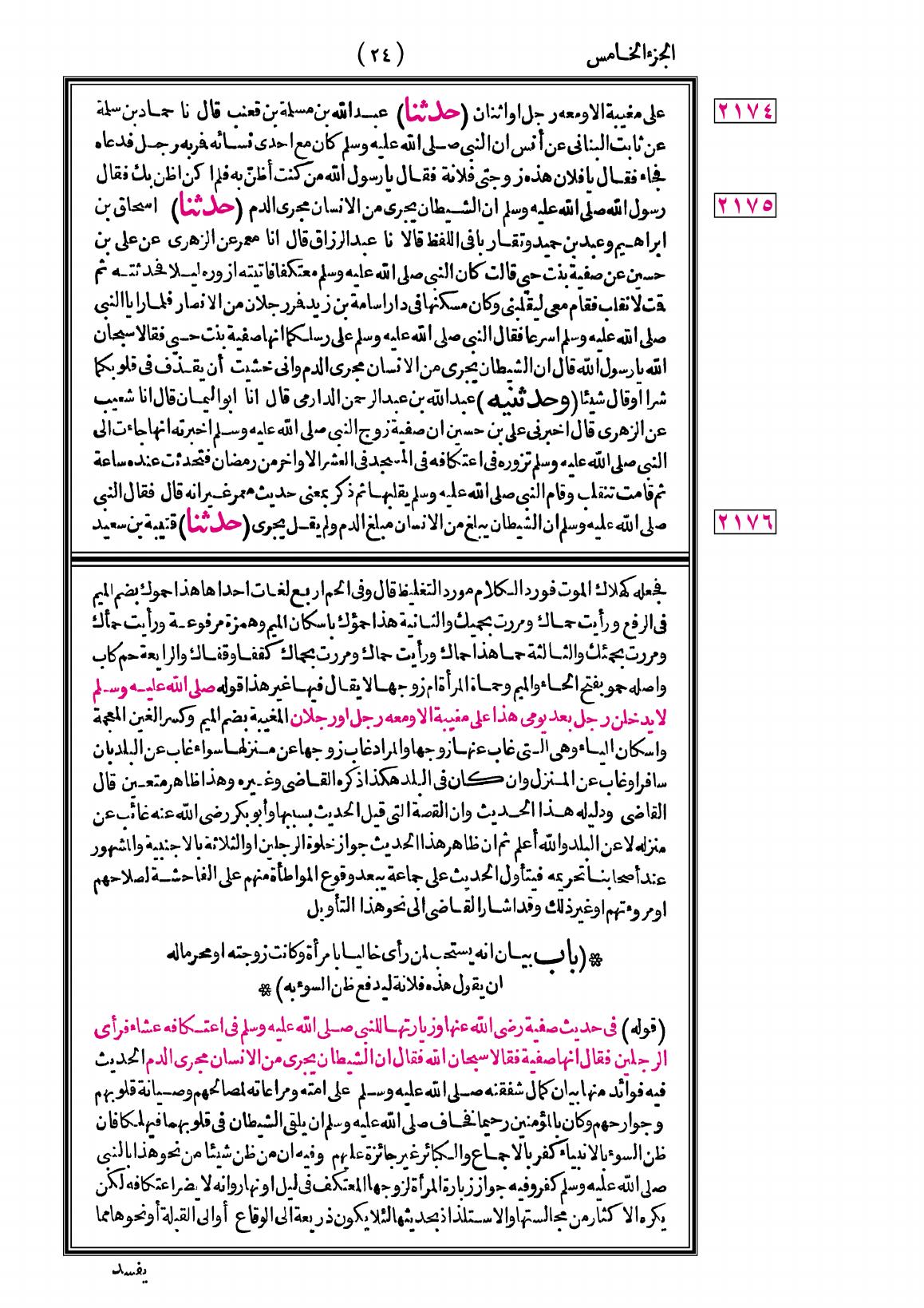 صفحة 24