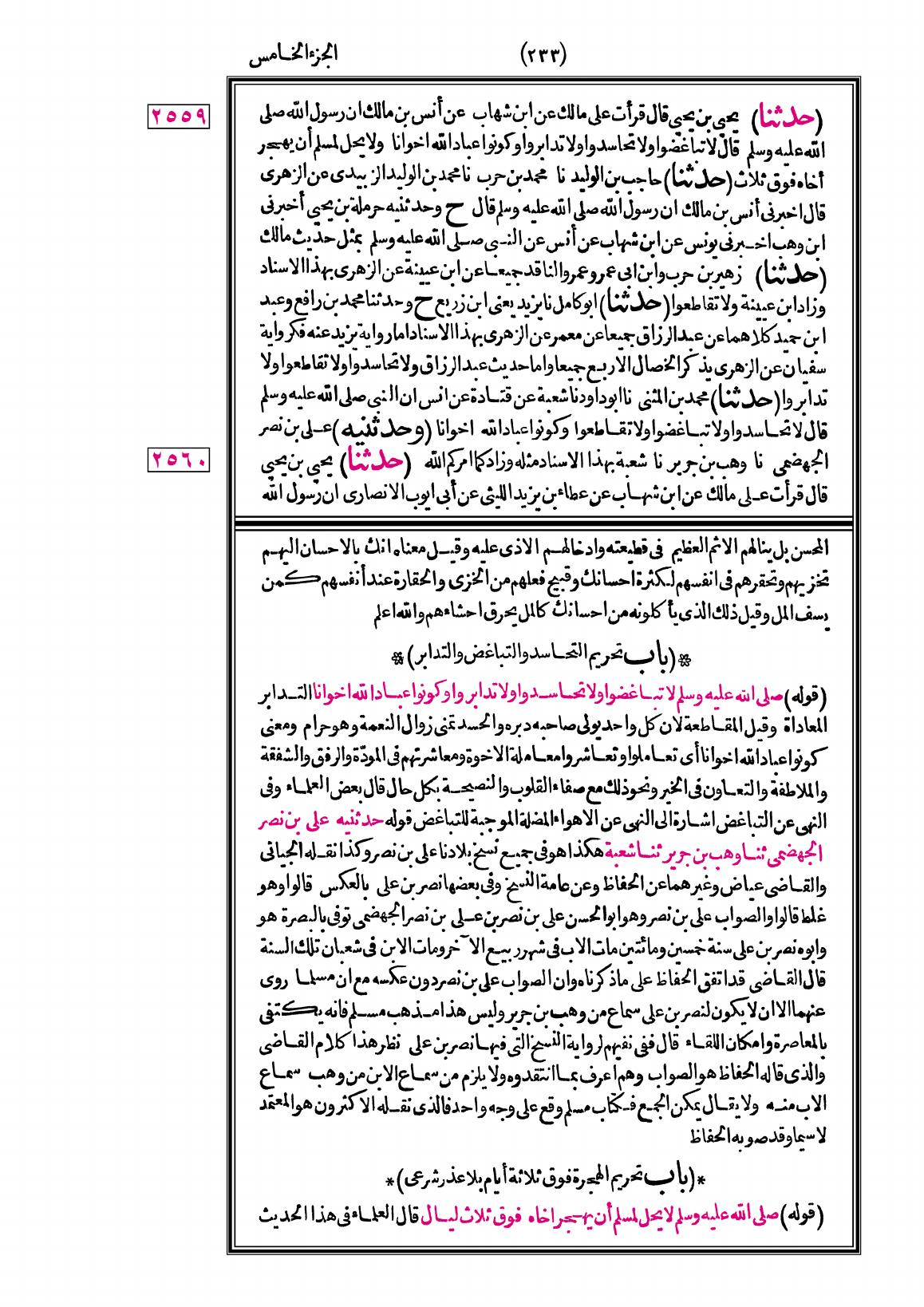 صفحة 233