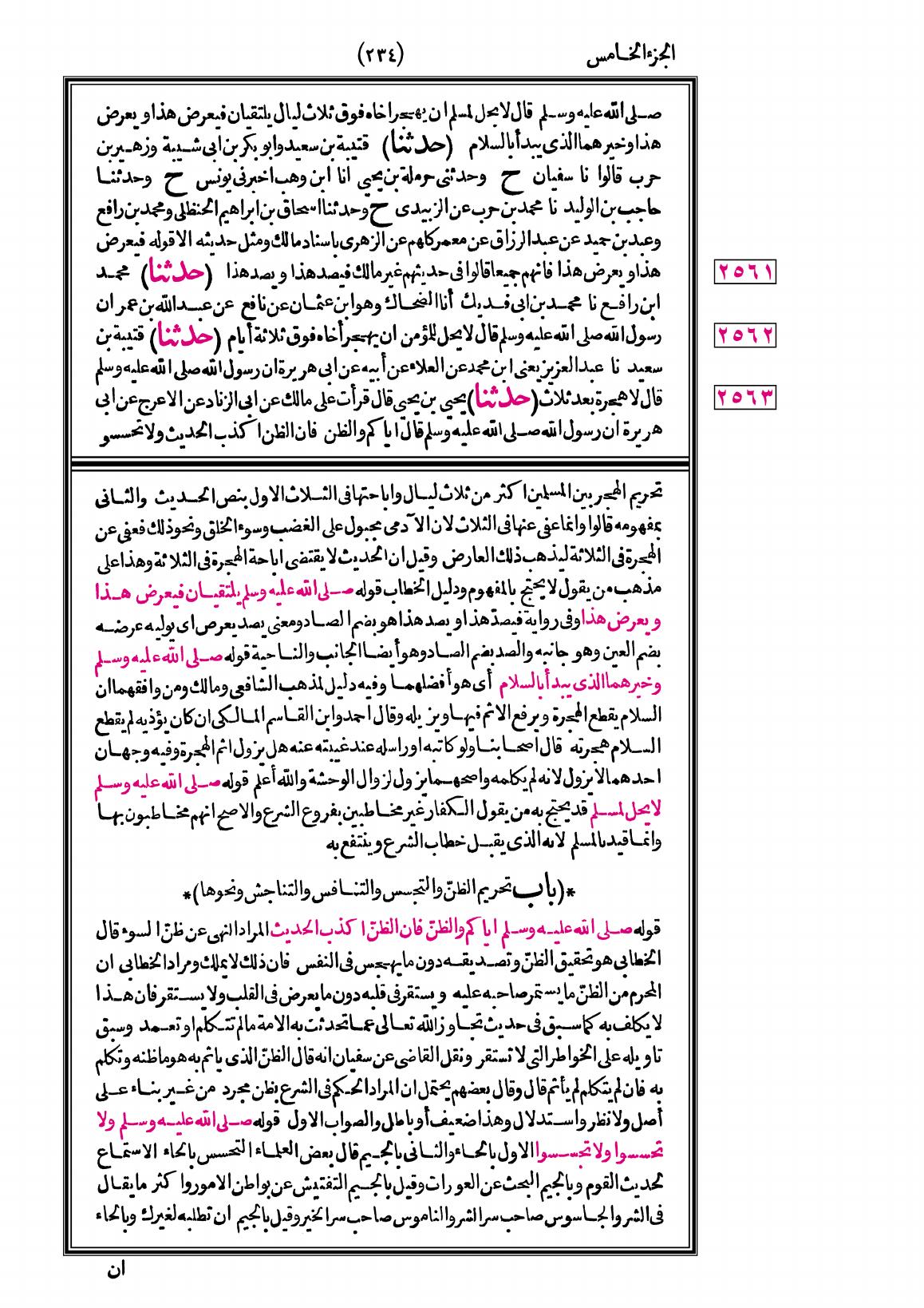 صفحة 234